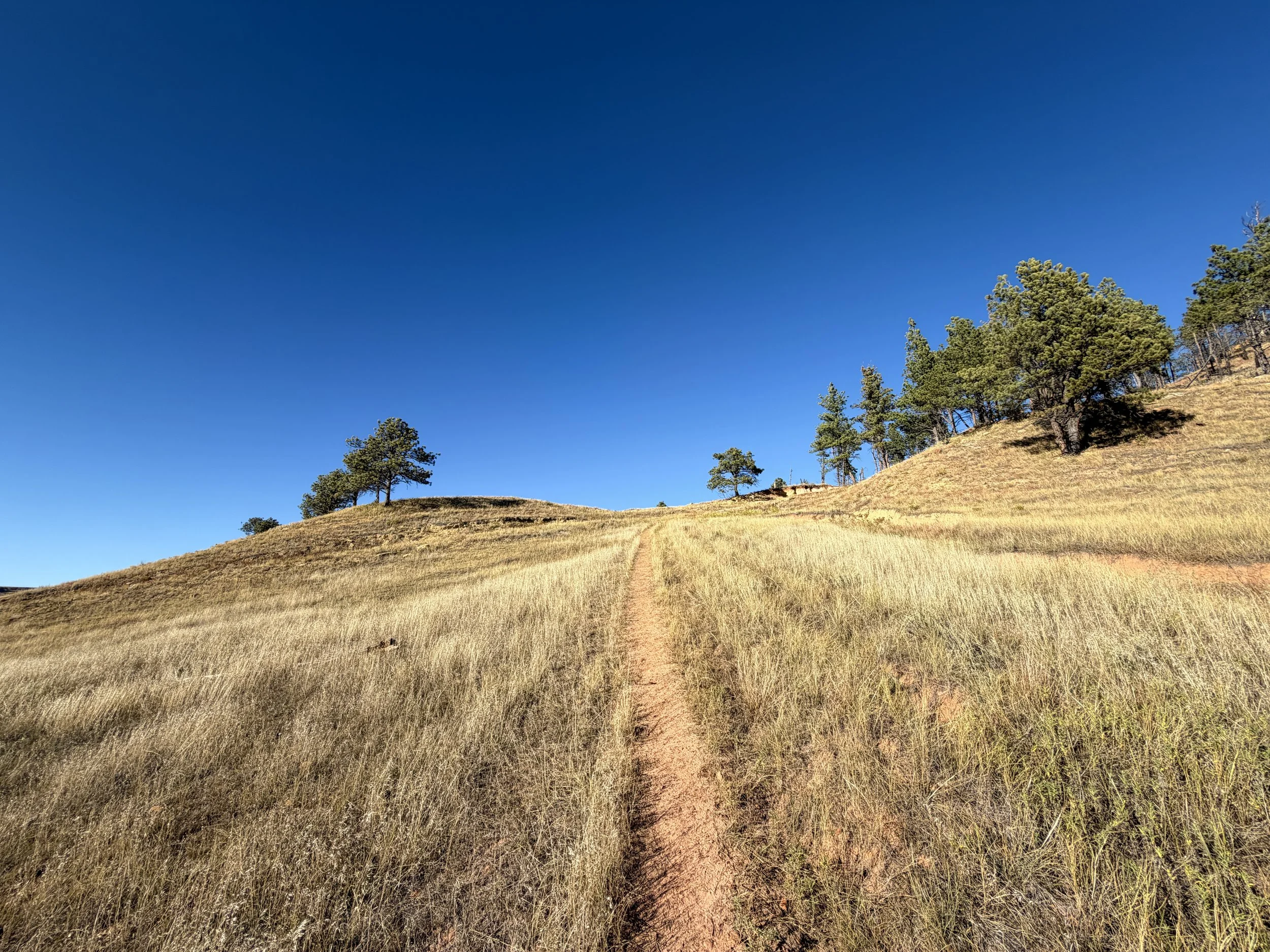 Boland Ridge Trail Wind Cave National Park South Dakota