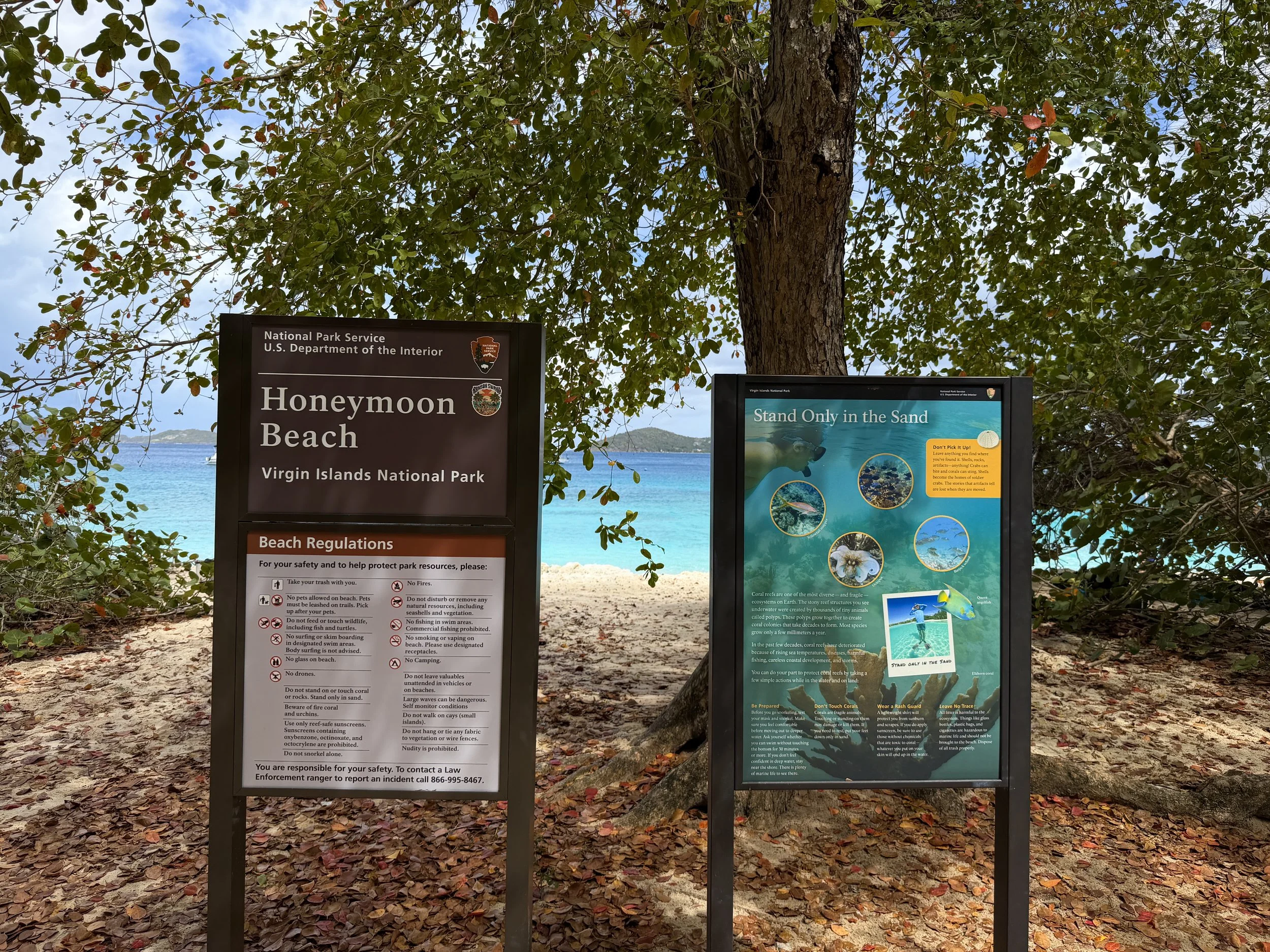 Honeymoon Beach Lind Point Trail Virgin Islands National Park