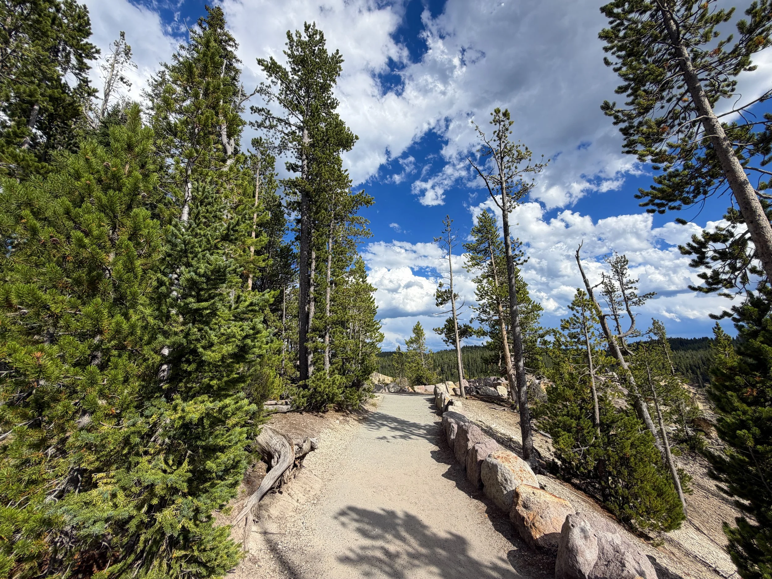 North Rim Trail Yellowstone National Park Wyoming