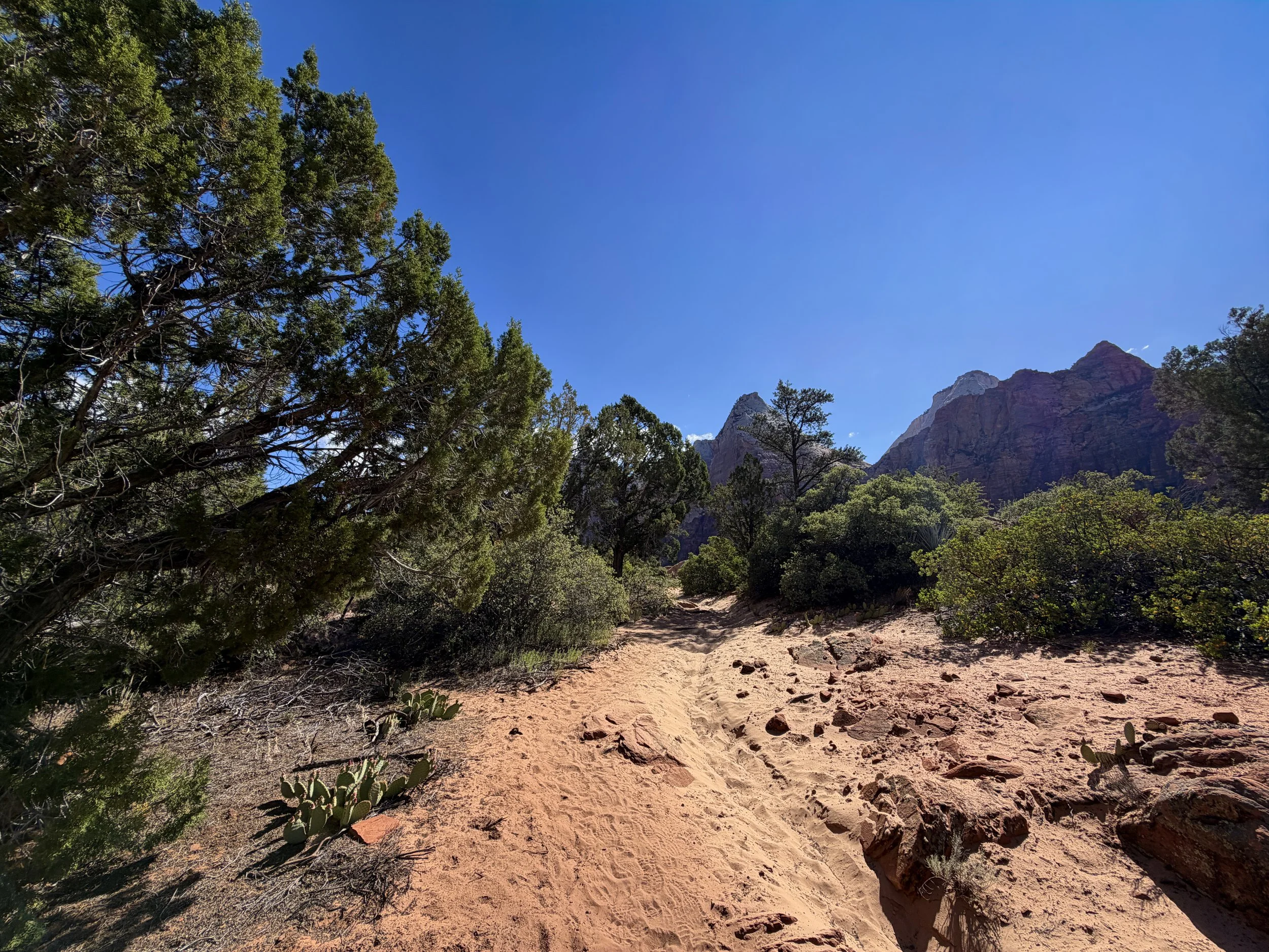 Sand Bench Trail Zion National Park Utah