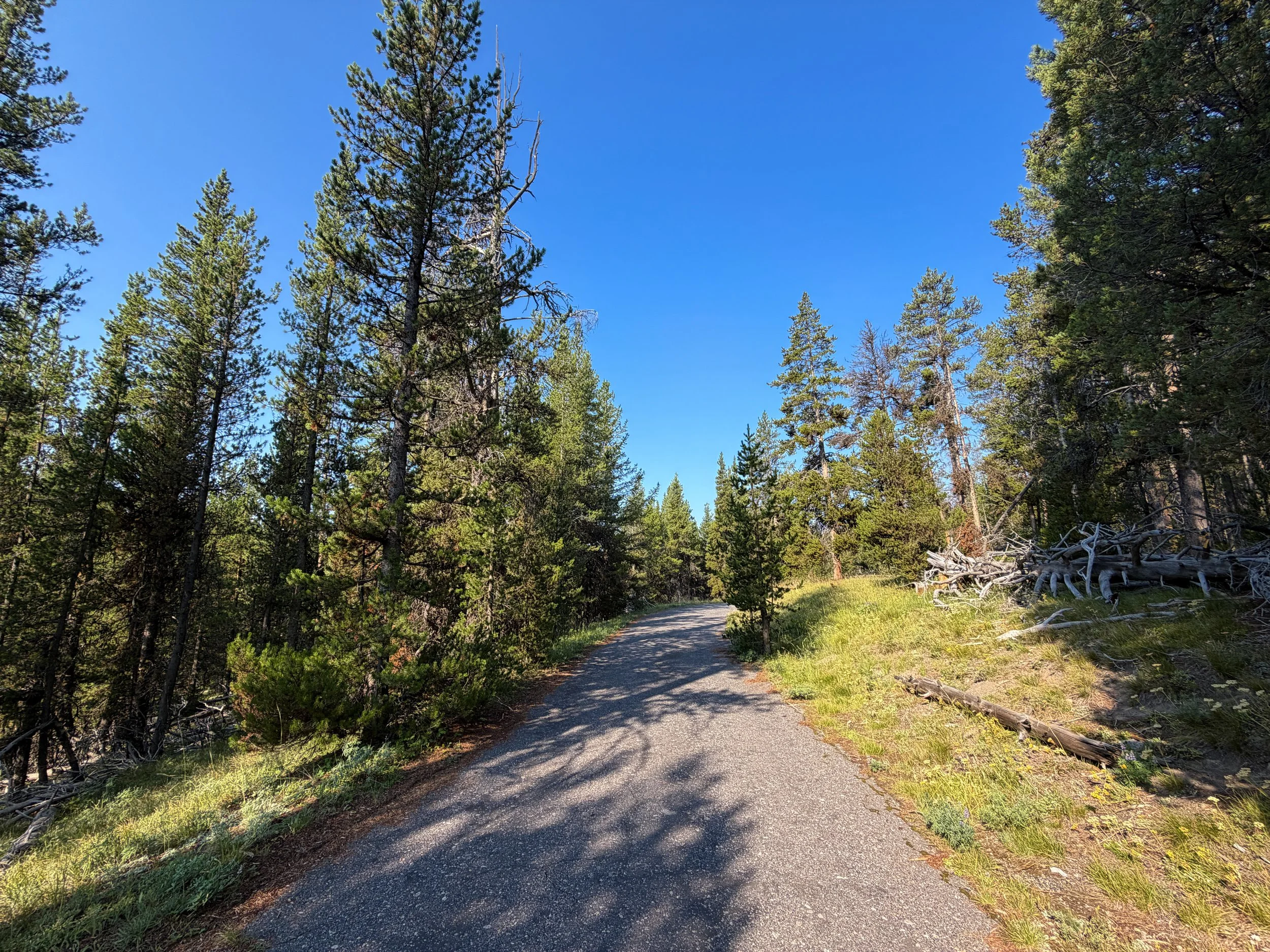 Natural Bridge Hike Yellowstone National Park Wyoming