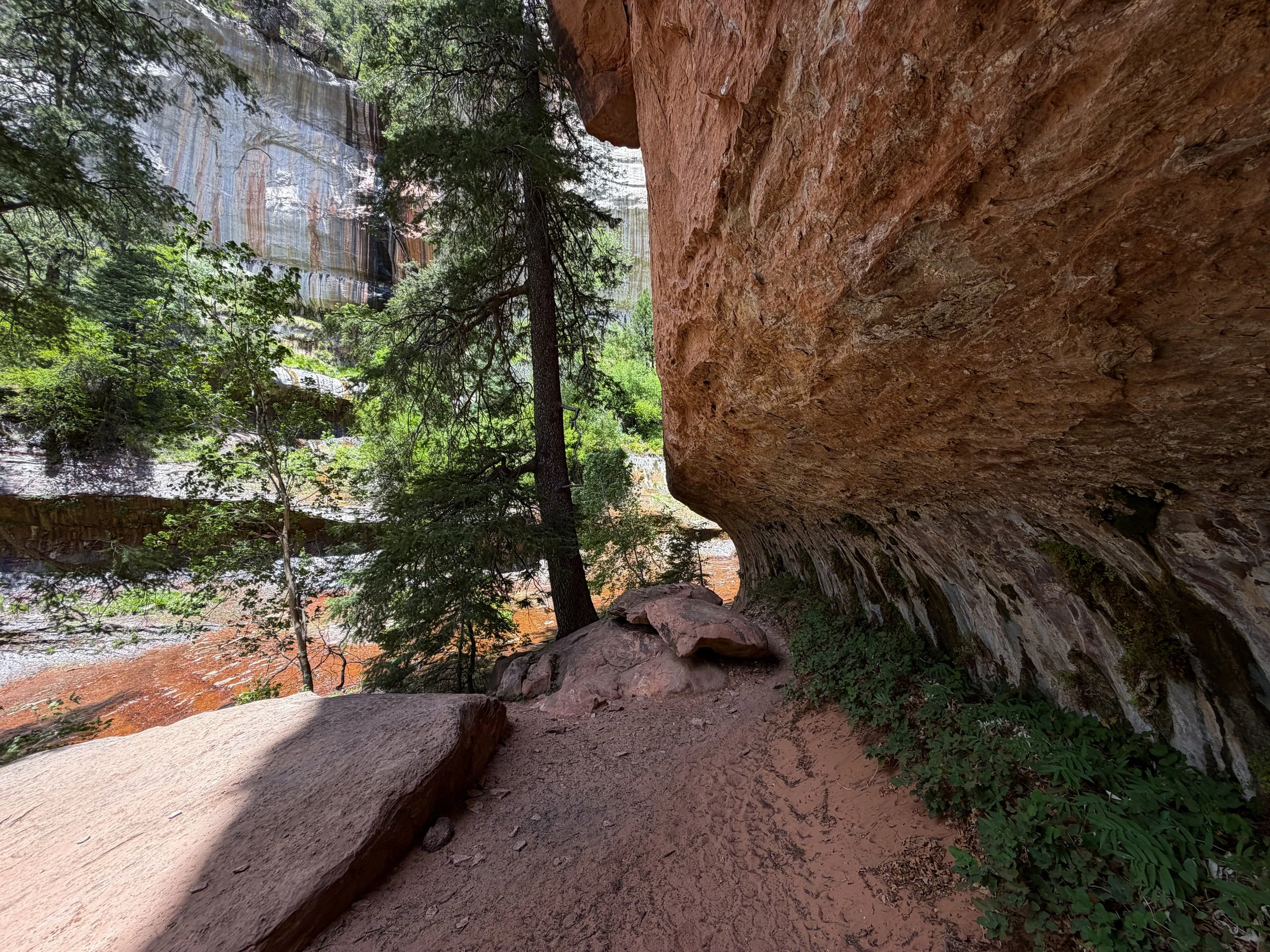 Subway Trail Zion National Park Utah