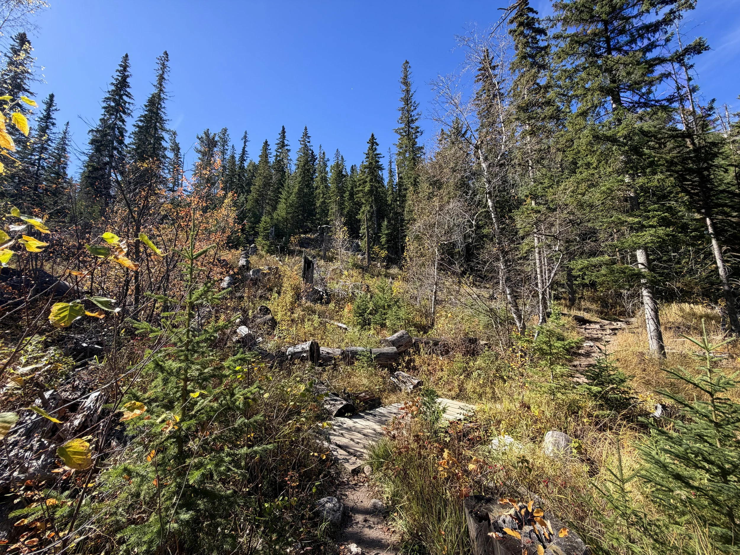 Sunday Gulch Trail Custer State Park Black Hills South Dakota