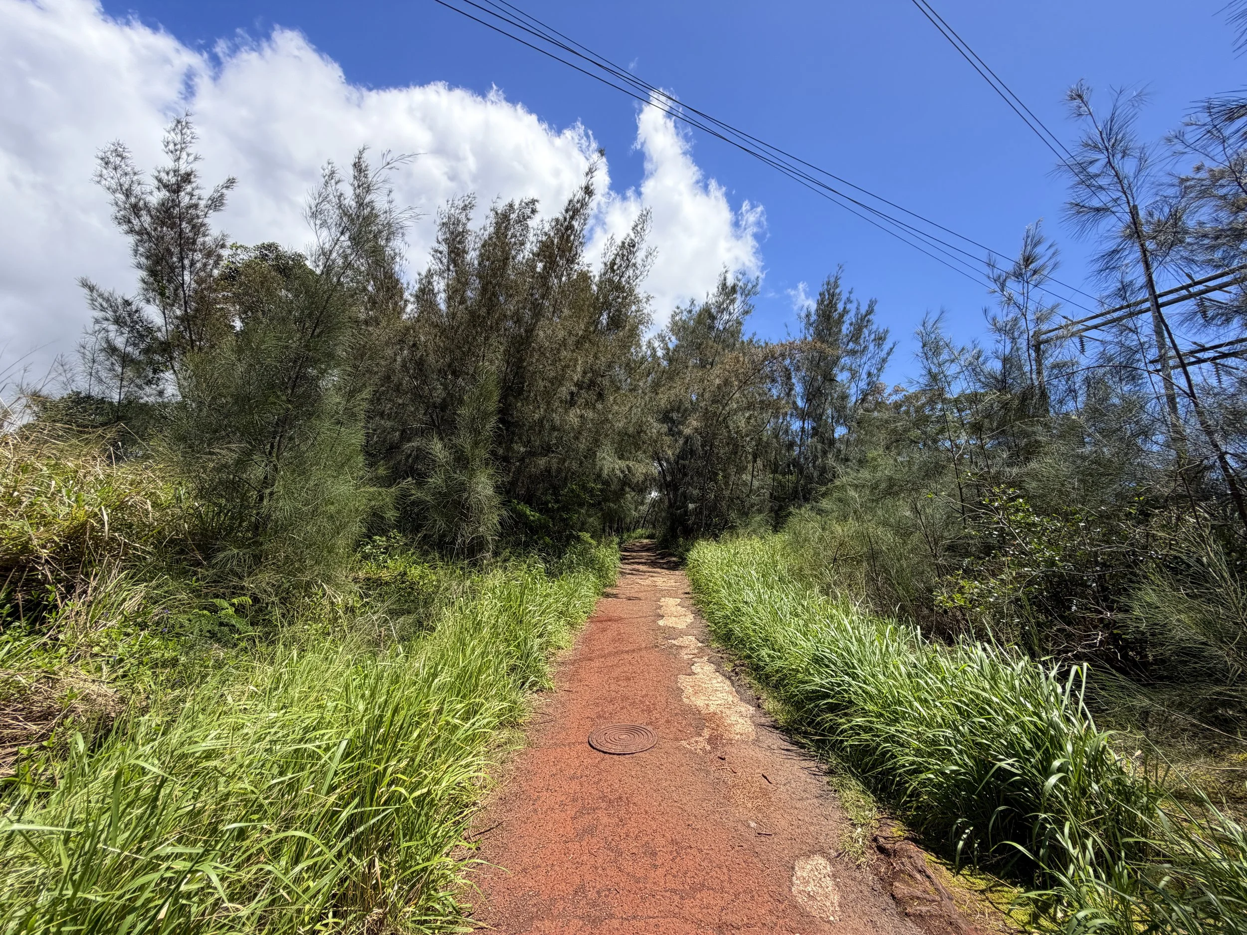 Waimano Falls Trail Oahu Hawaii
