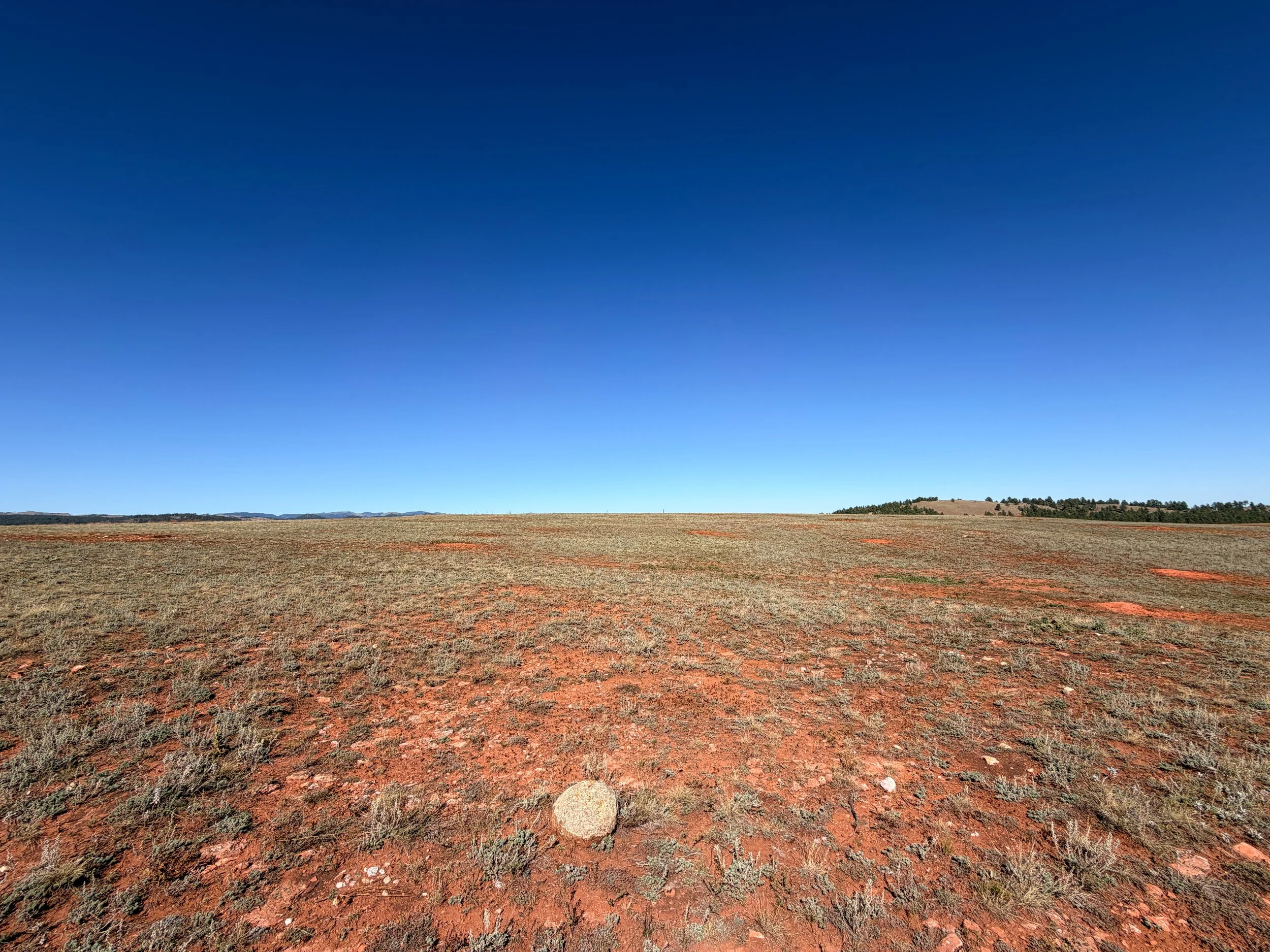 East Bison Flats Trail to Wind Cave Canyon Wind Cave National Park South Dakota