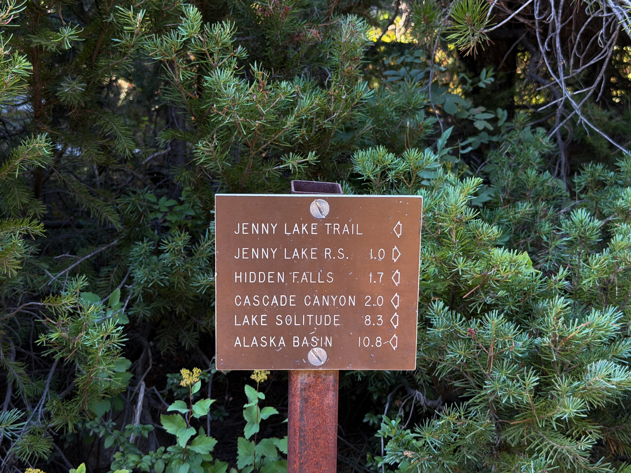 Moose Ponds Loop Trail Grand Teton National Park Wyoming