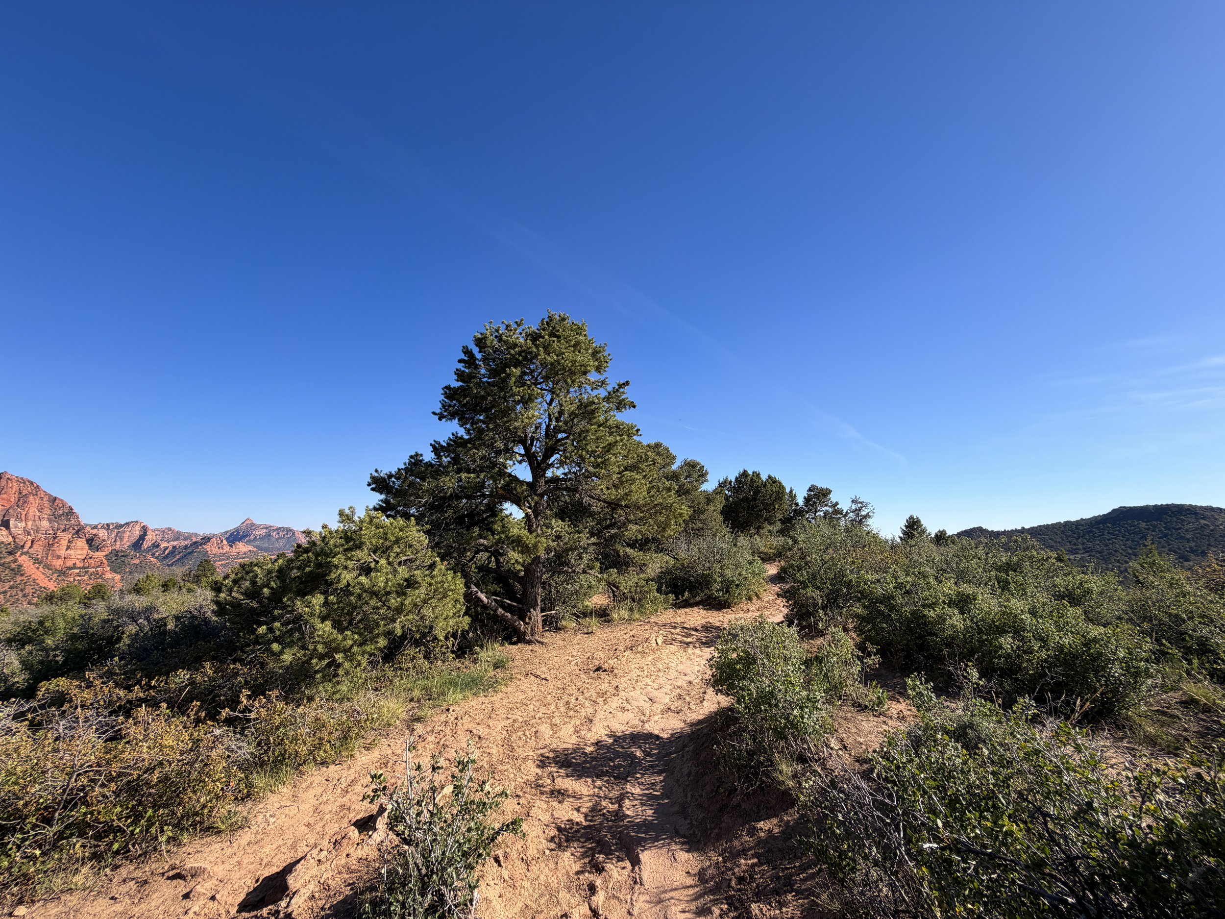 Timber Creek Overlook Hike Zion National Park Utah