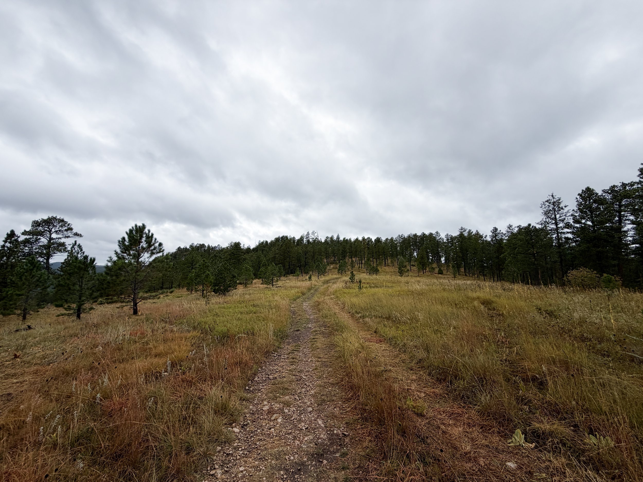 Buzzards Roost Hike Black Hills Rapid City South Dakota