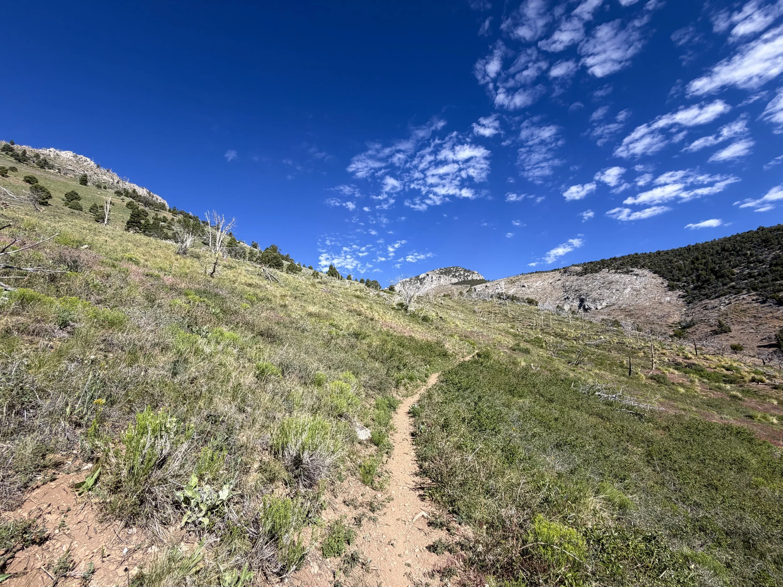 Lexington Arch Trail Great Basin National Park Nevada