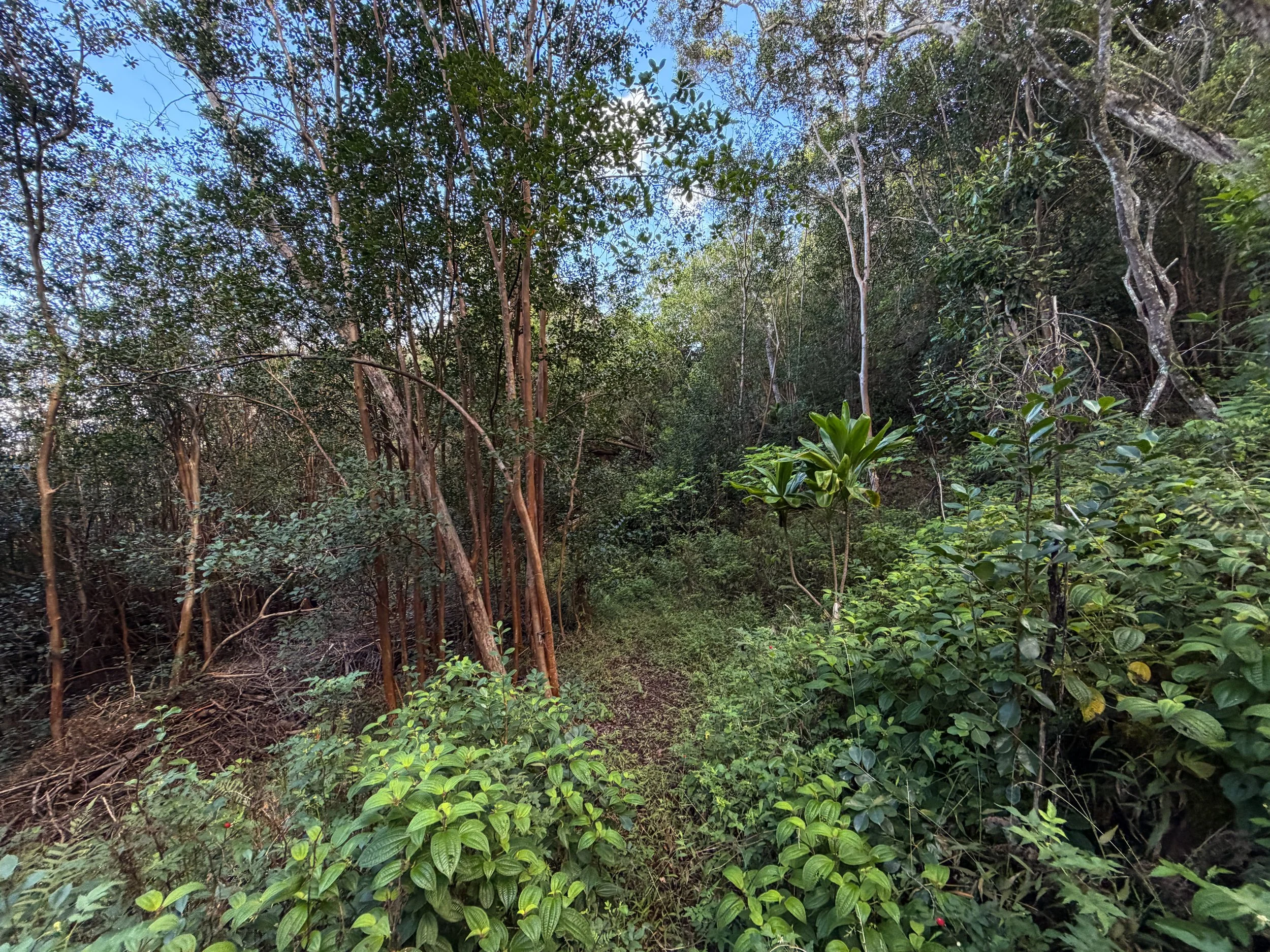 Mokuleia Trail Oahu Hawaii
