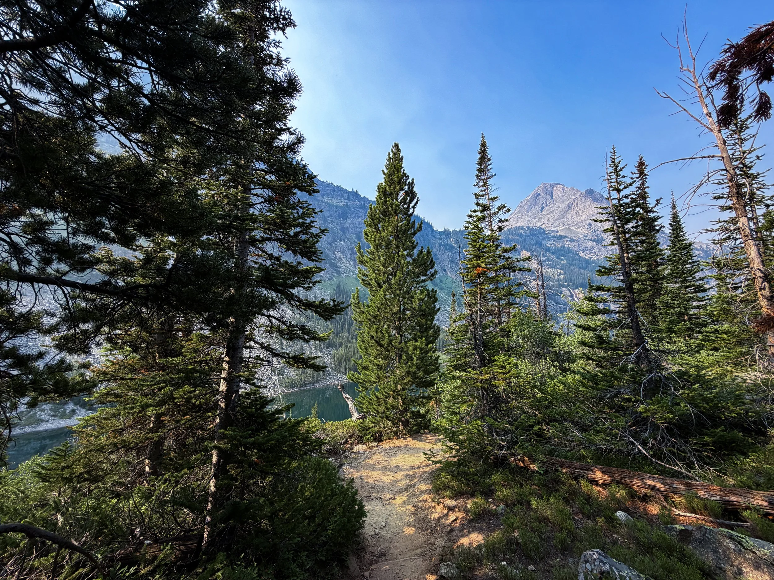 East Rosebud Trail Beaten Path Beartooth Mountains Montana