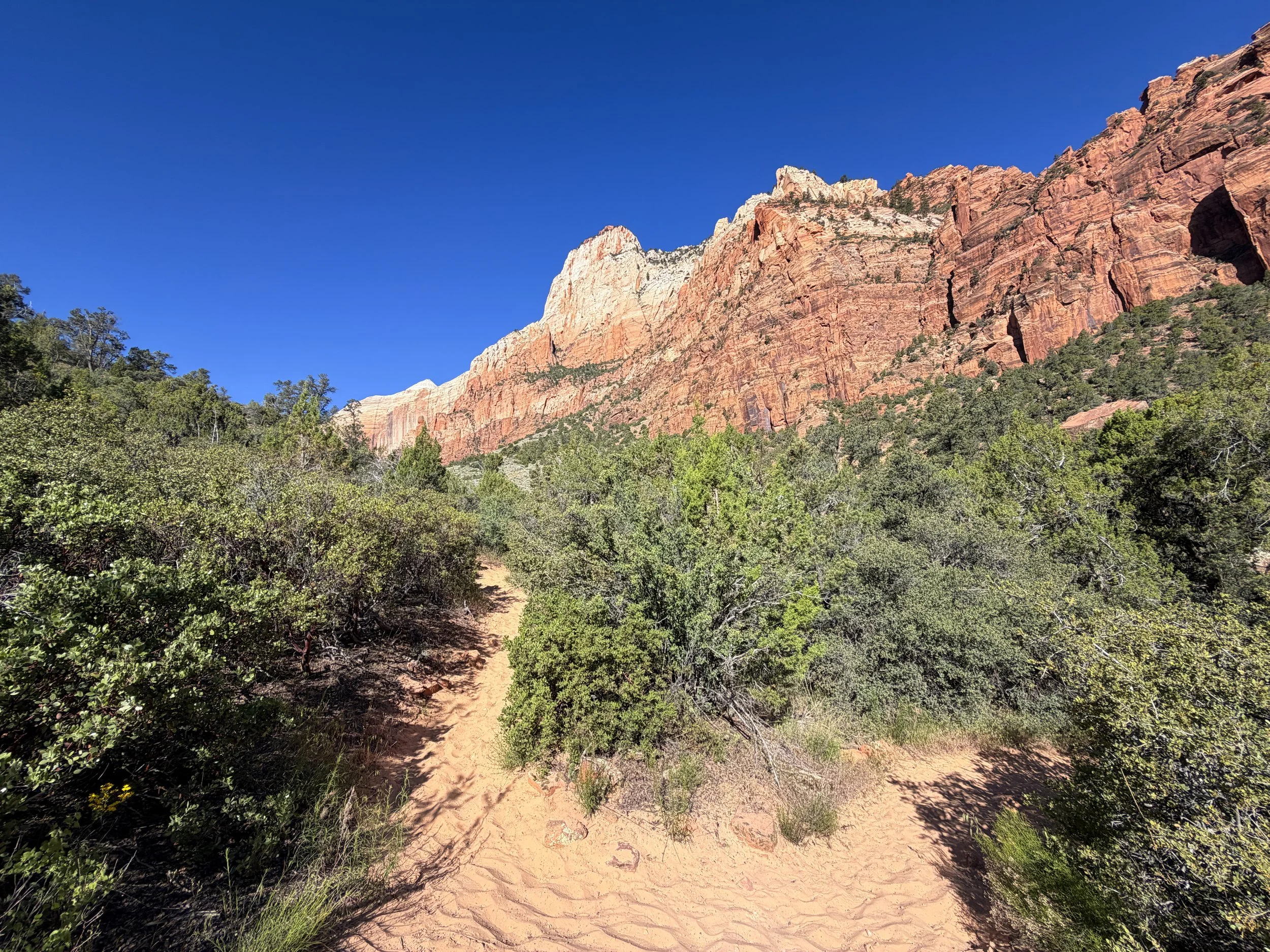 Sand Bench Loop Trail Zion National Park Utah