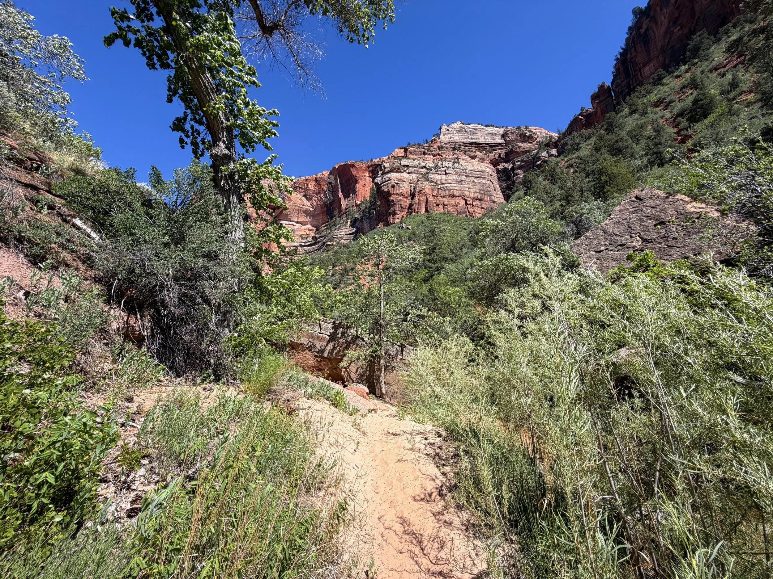 Subway Trail Left Fork North Creek Zion National Park Utah