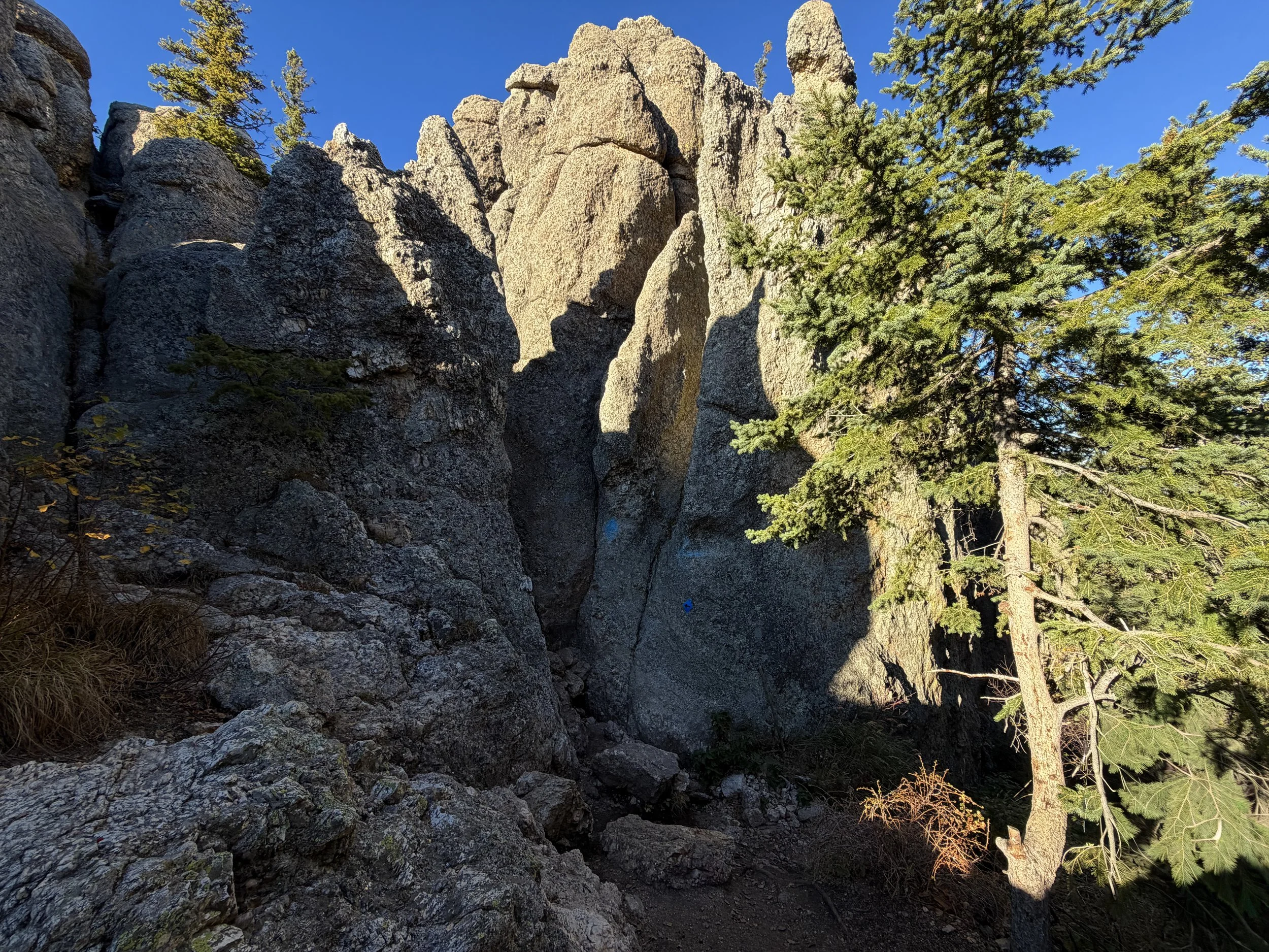Little Devils Tower Trail Custer State Park Black Hills South Dakota