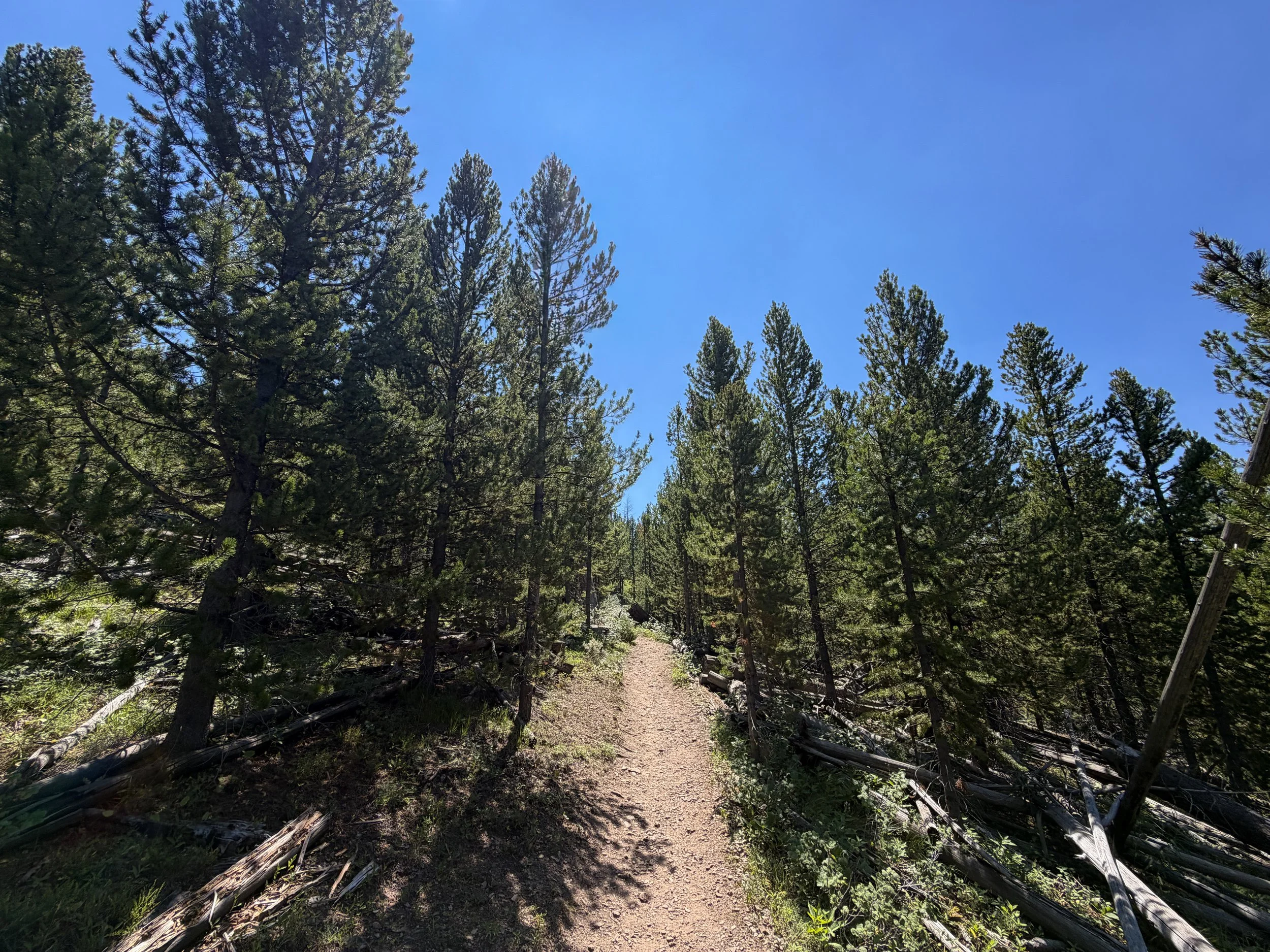 Bunsen Peak Trail Yellowstone National Park Wyoming