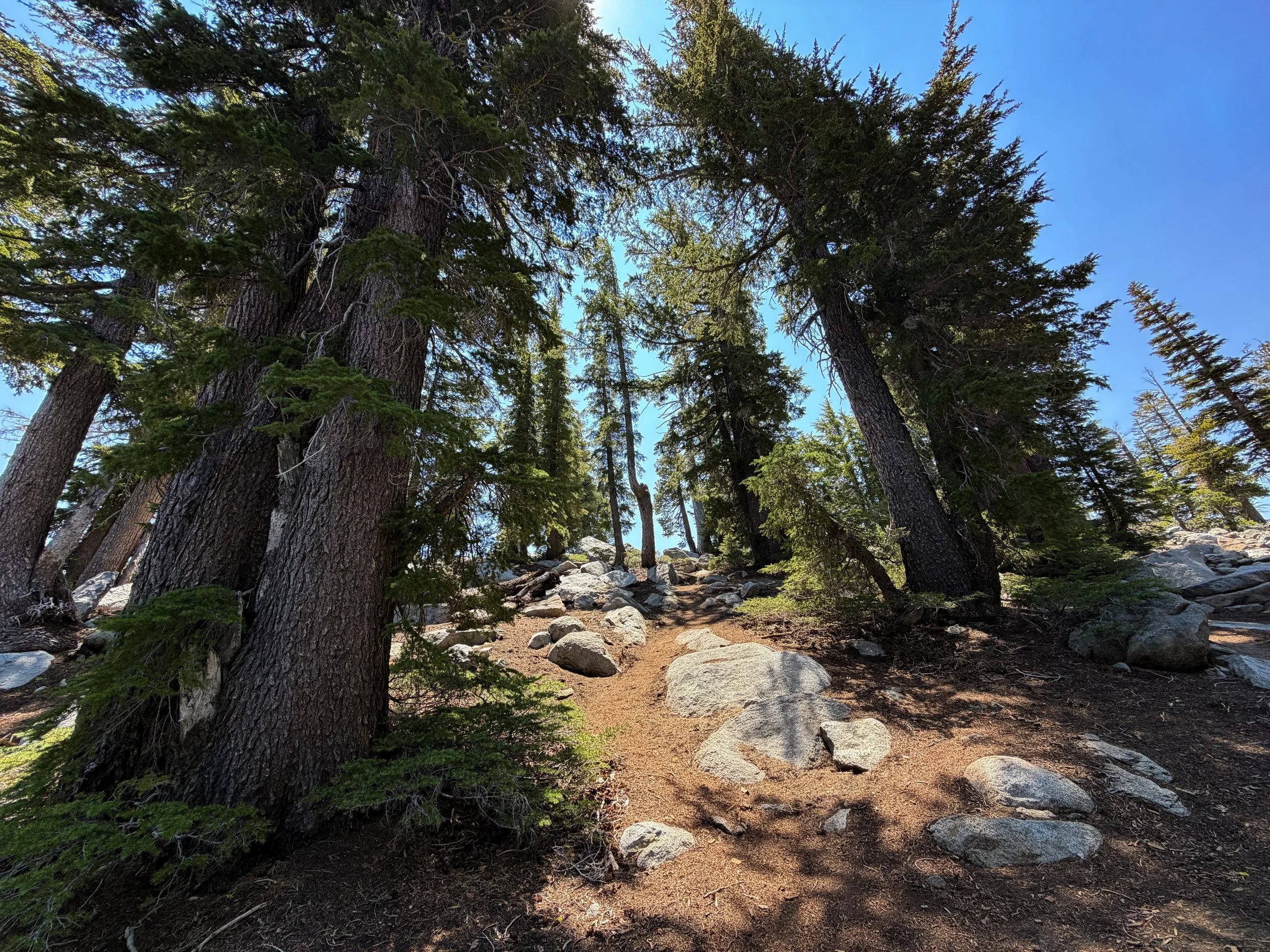 Maggies Peak Trail Lake Tahoe California