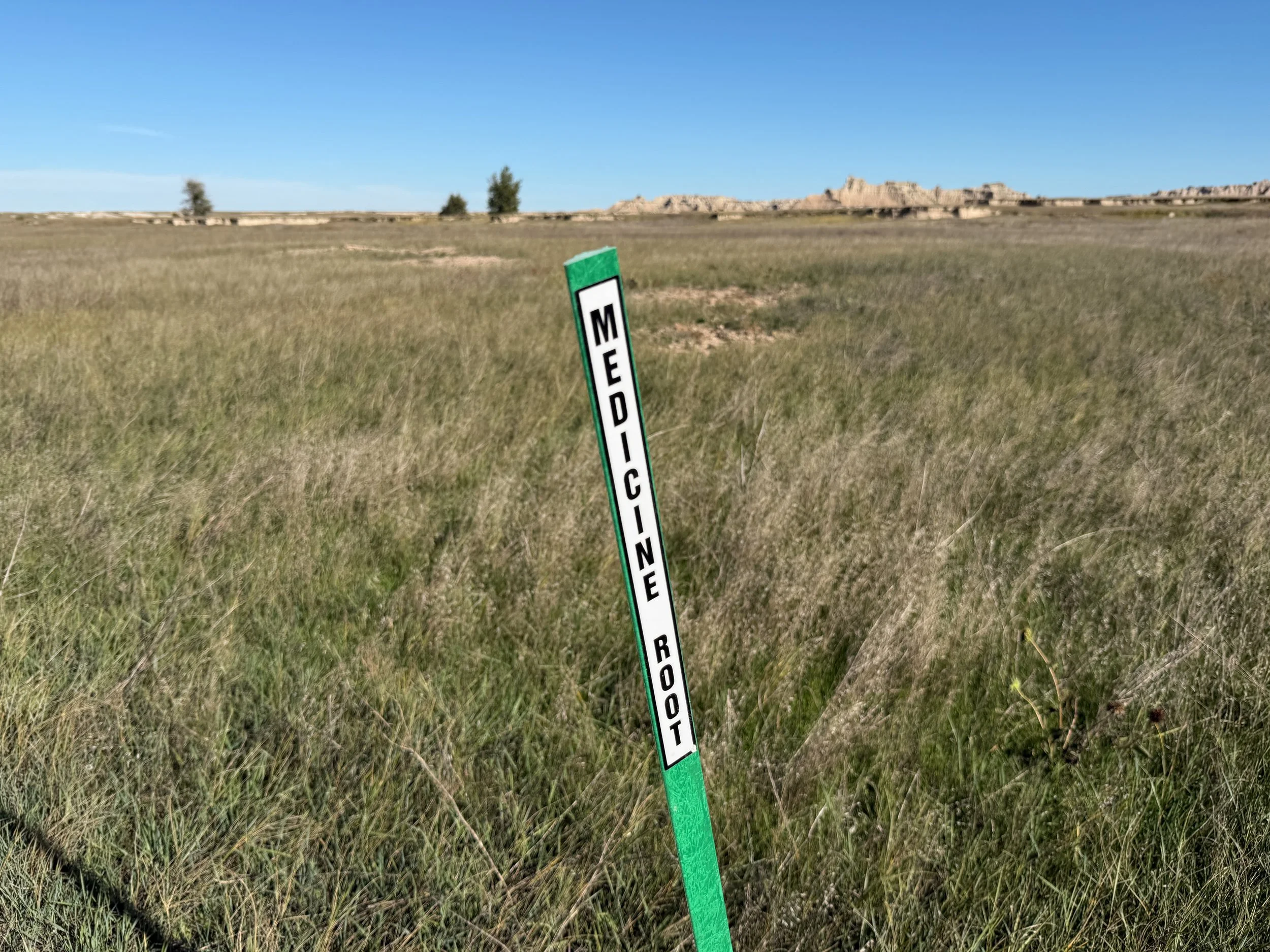 Medicine Root Loop Trail Badlands National Park South Dakota