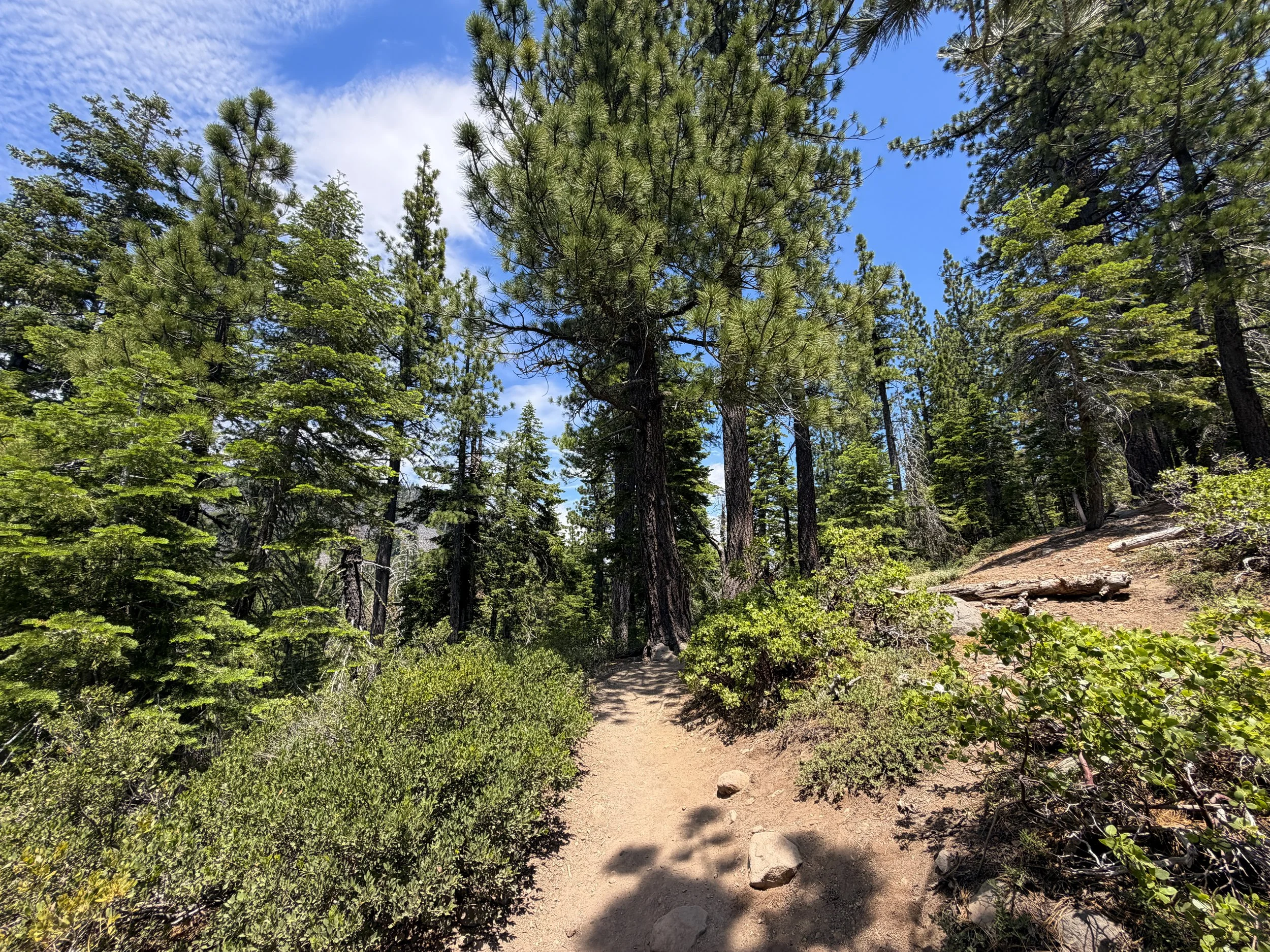 Eagle Rock Trail Lake Tahoe California