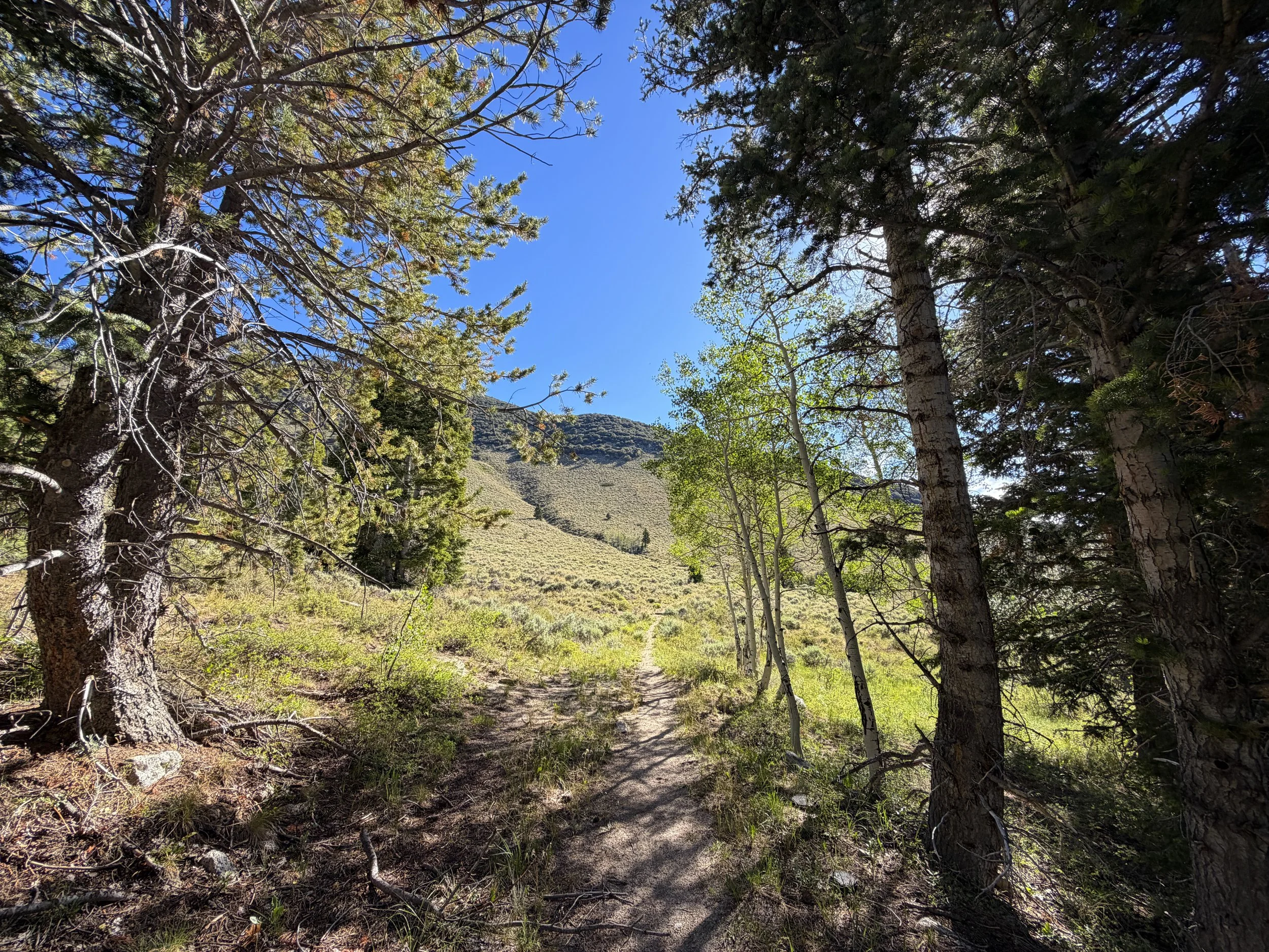 Johnson Lake Hike Great Basin National Park Nevada