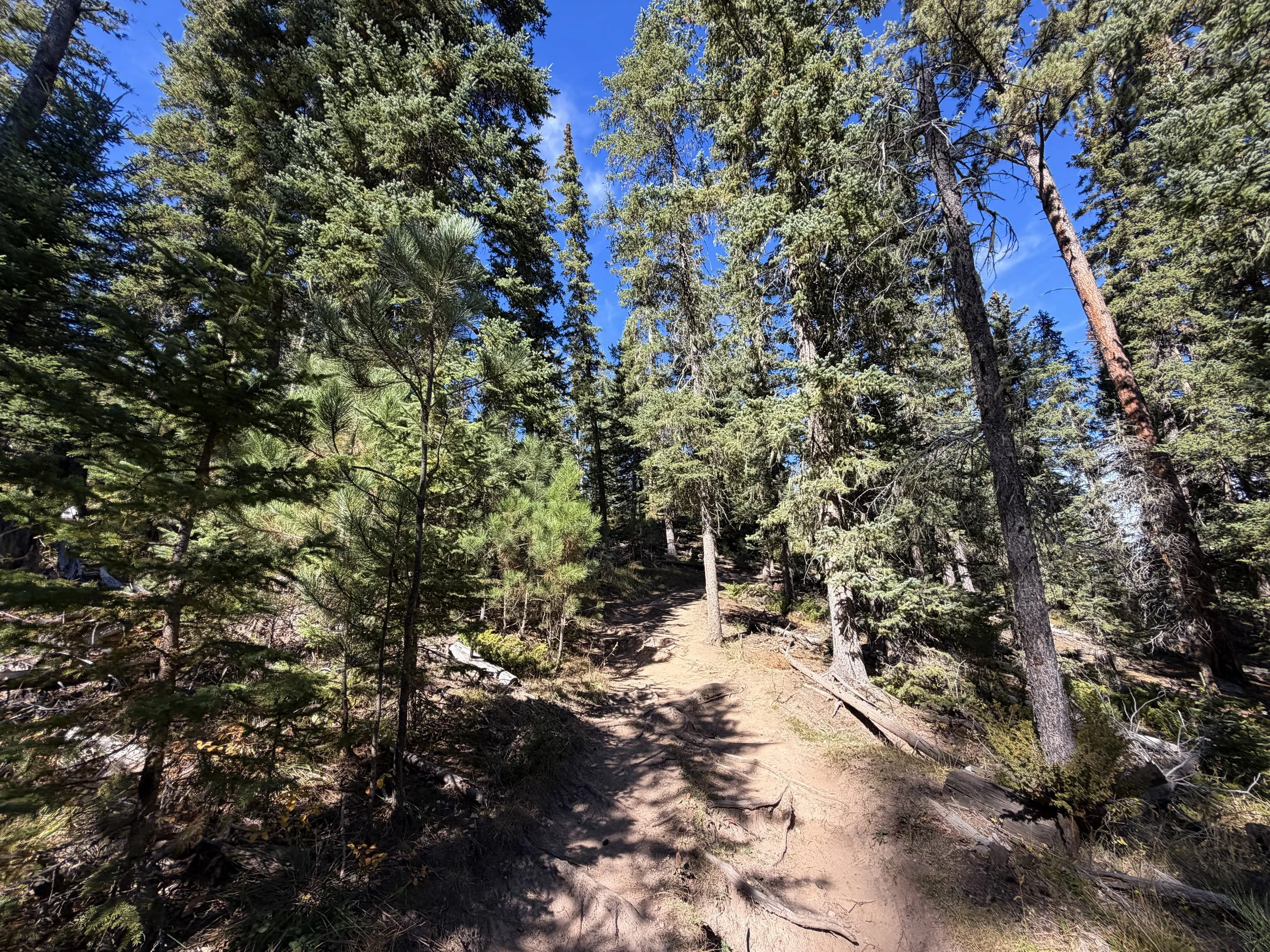 Sunday Gulch Trail Custer State Park Black Hills South Dakota
