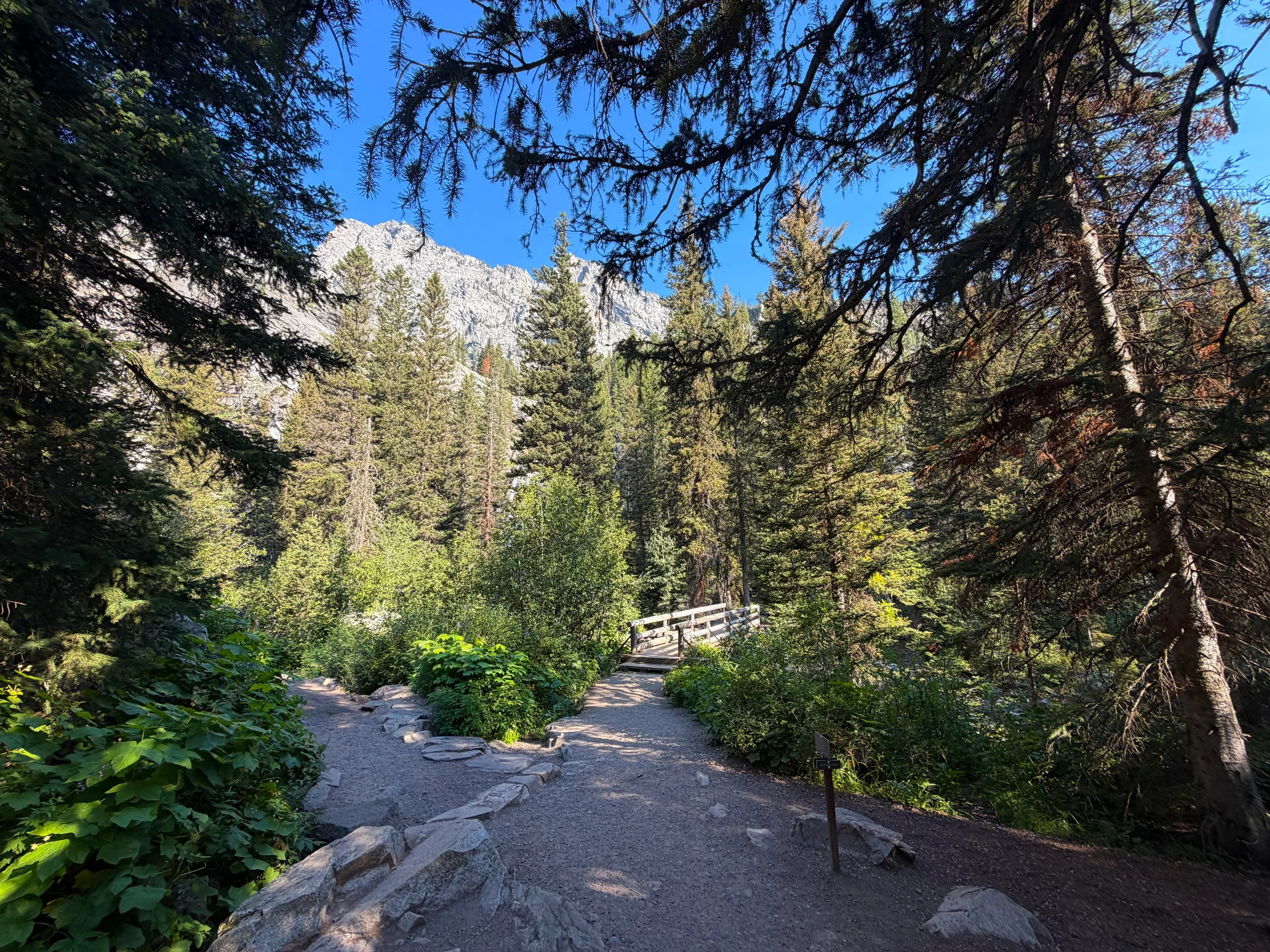Hidden Falls Trail Grand Teton National Park Wyoming
