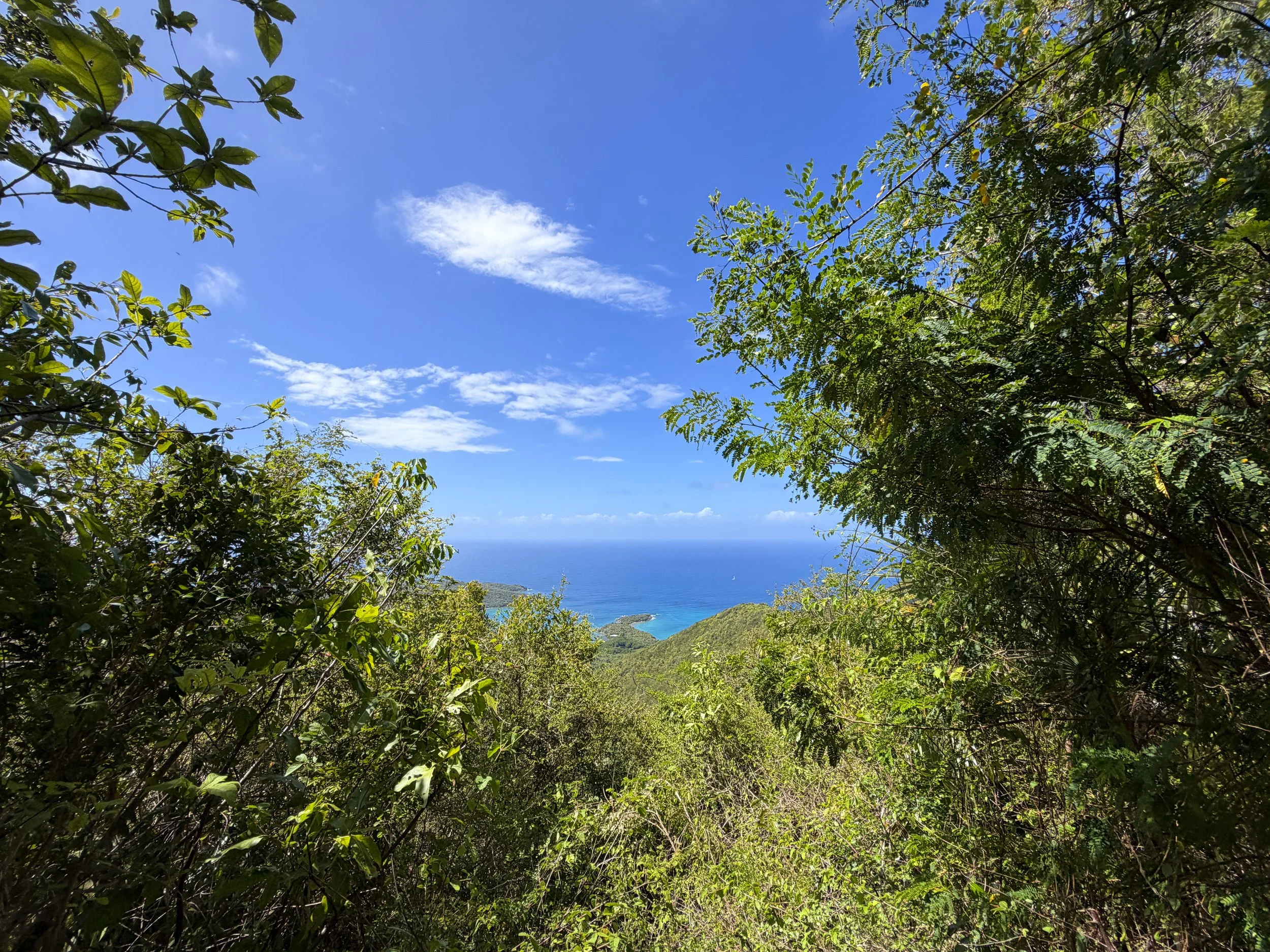 Bordeaux Mountain Trail Overlook Virgin Islands National Park