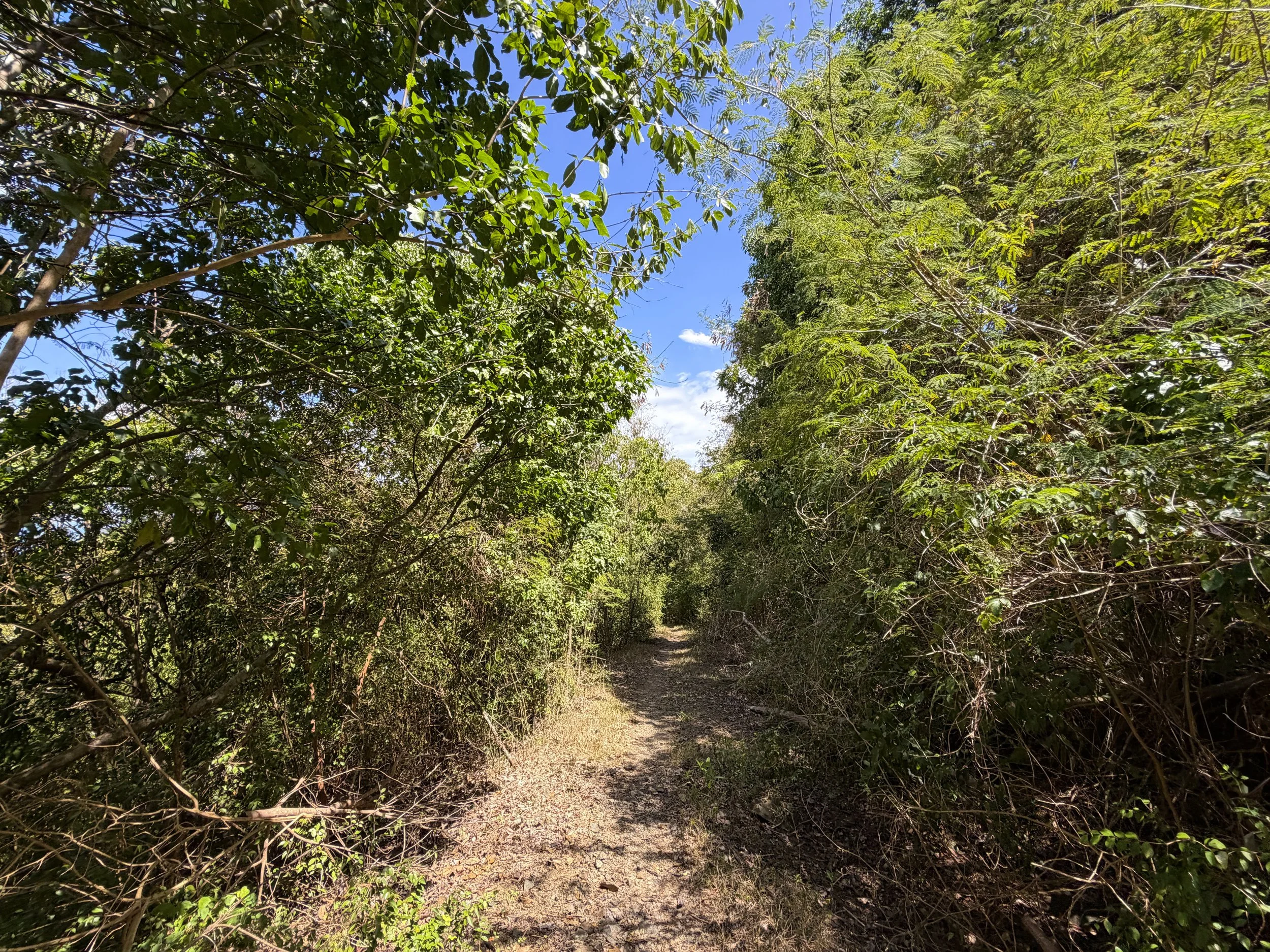 Johnny Horn Trail Virgin Islands National Park