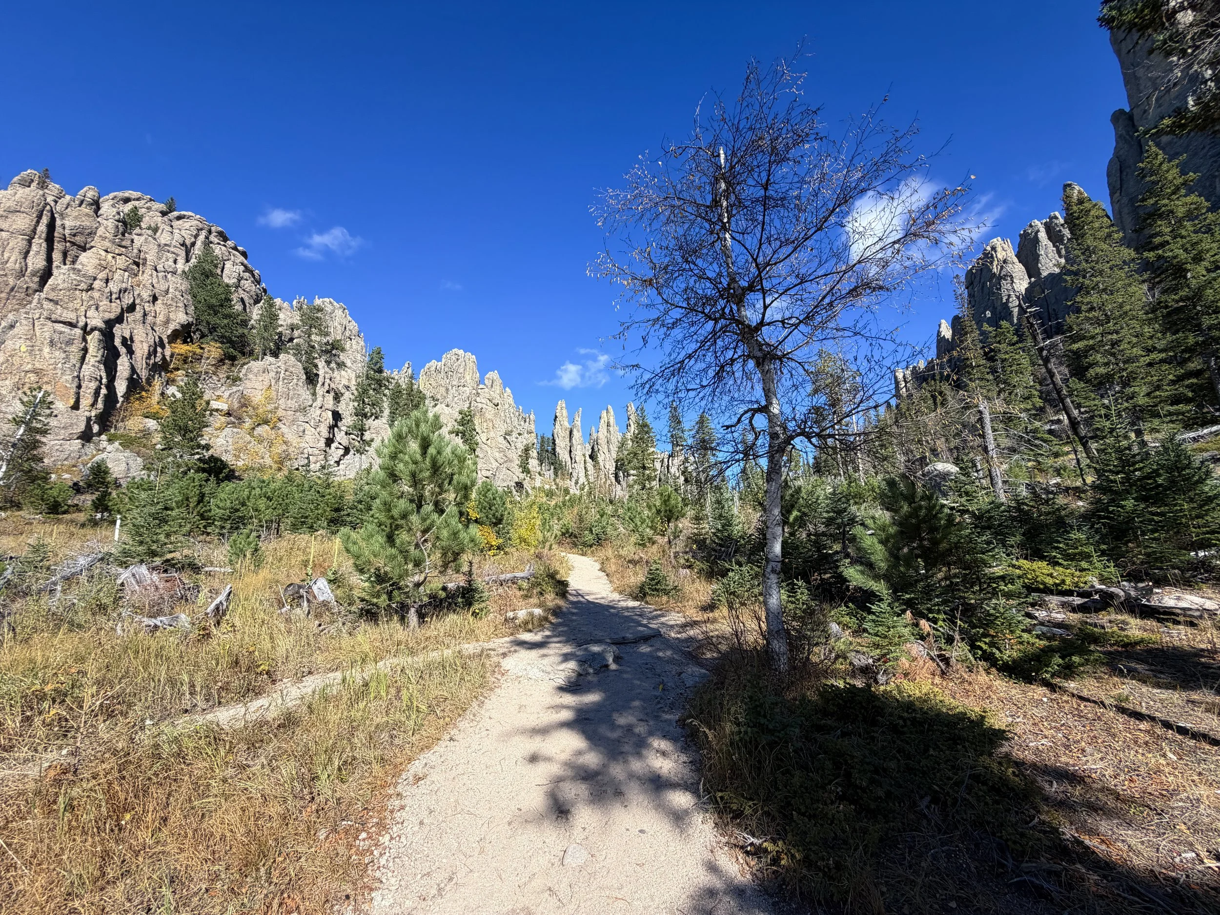 Cathedral Spires Trail Custer State Park Black Hills South Dakota