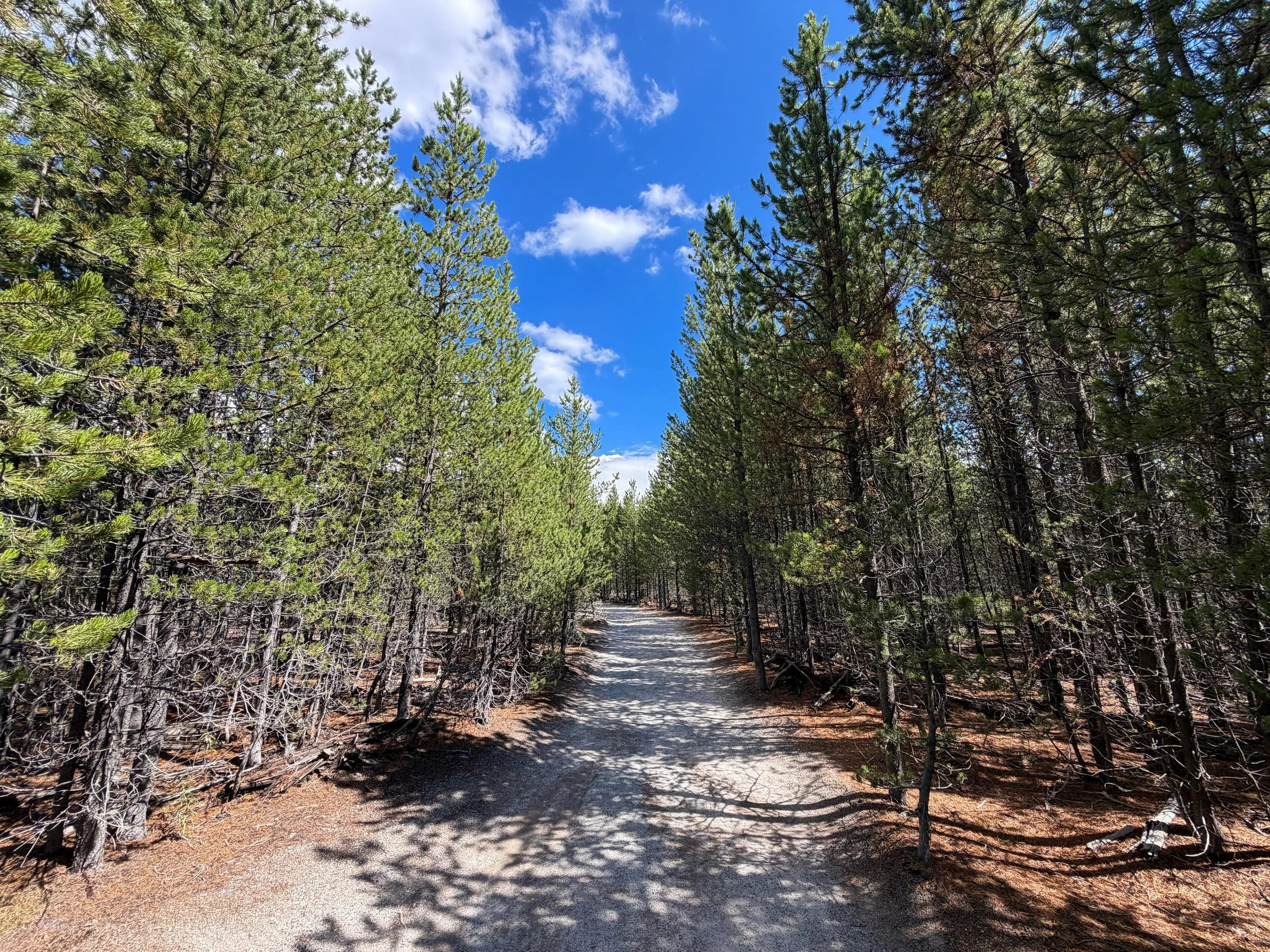 Artists Paintpots Trail Yellowstone National Park Wyoming