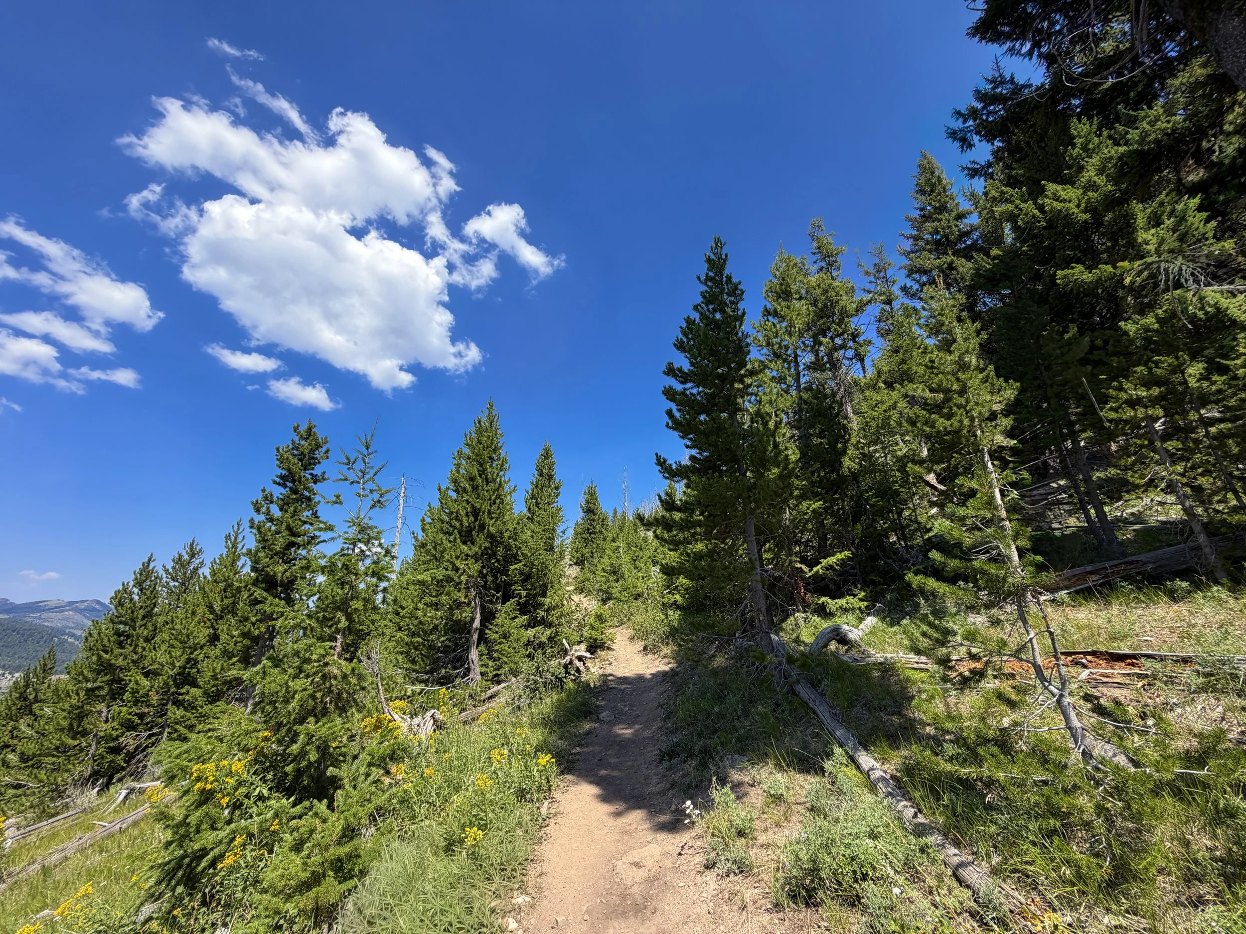 Bunsen Peak Hike Yellowstone National Park Wyoming