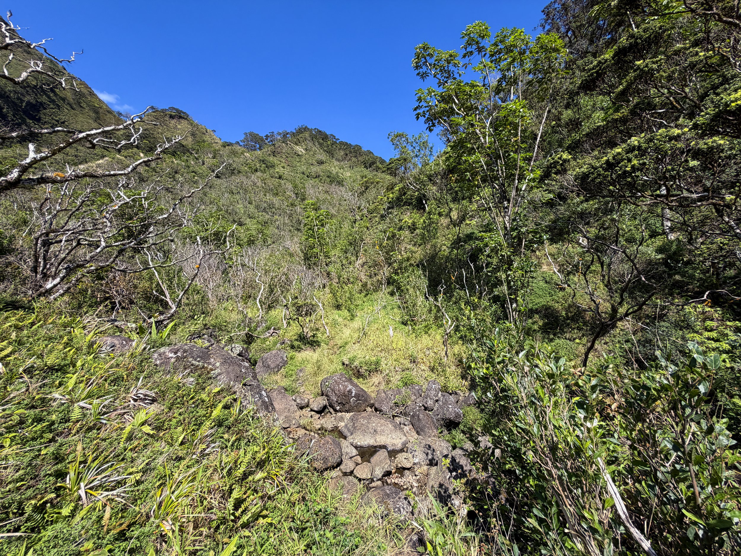 Kulanaahane Trail Oahu Hawaii