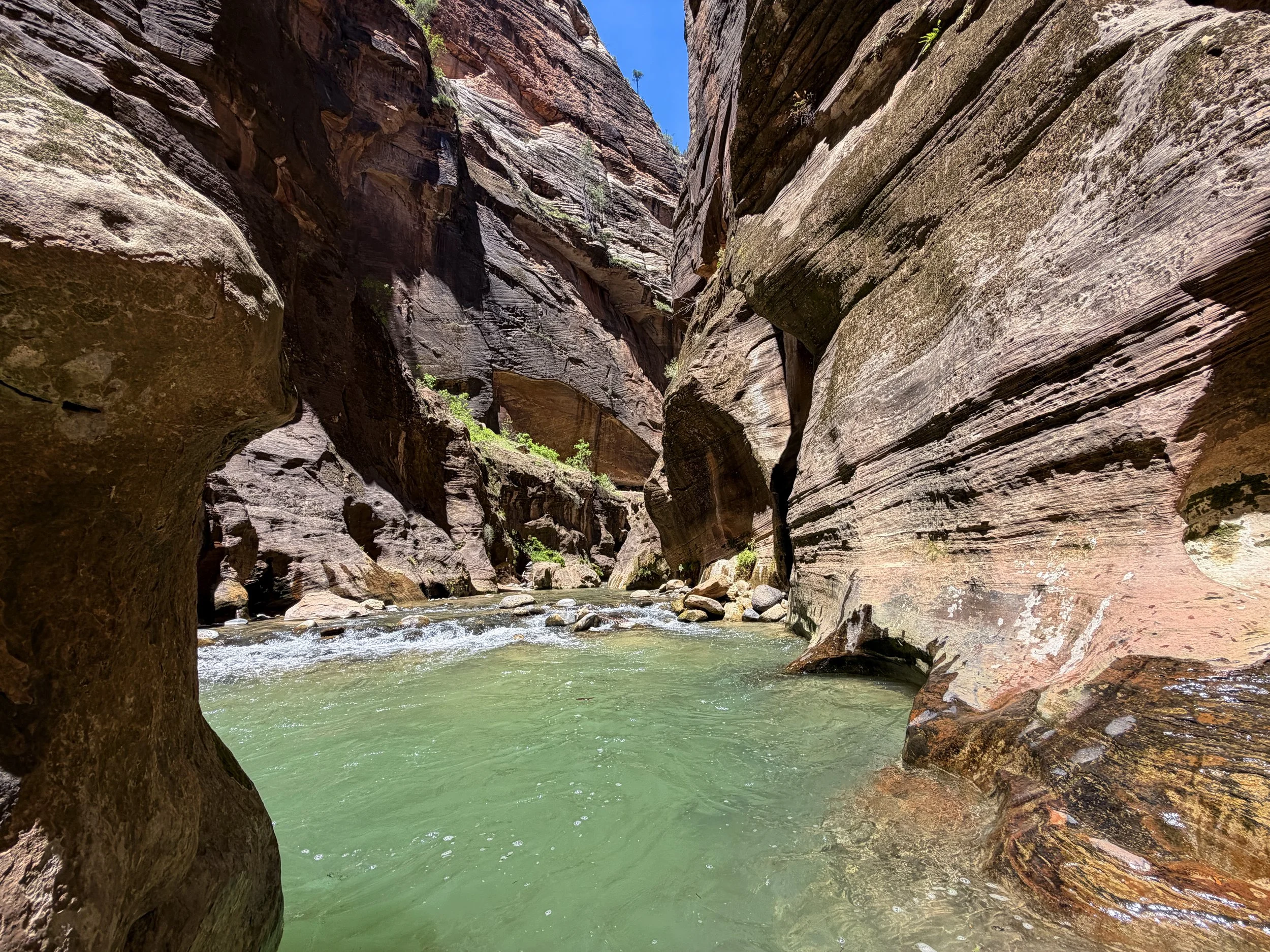 Deep Spot Narrows Zion National Park Utah