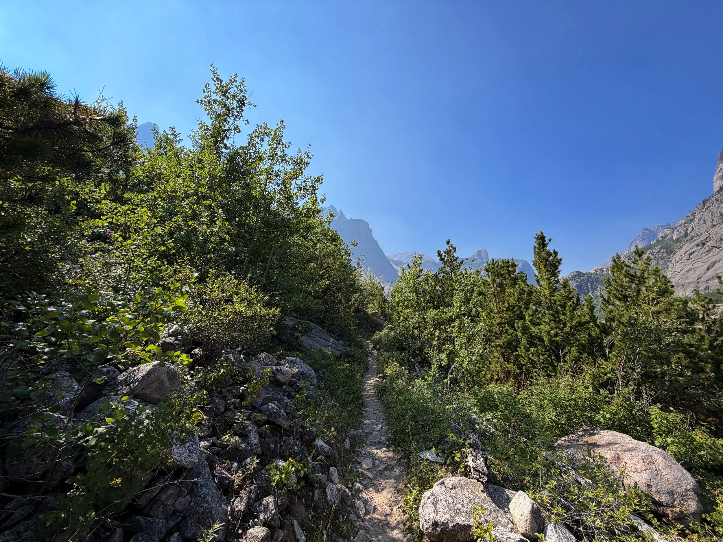 The Beaten Path Trail Beartooth Mountains Montana