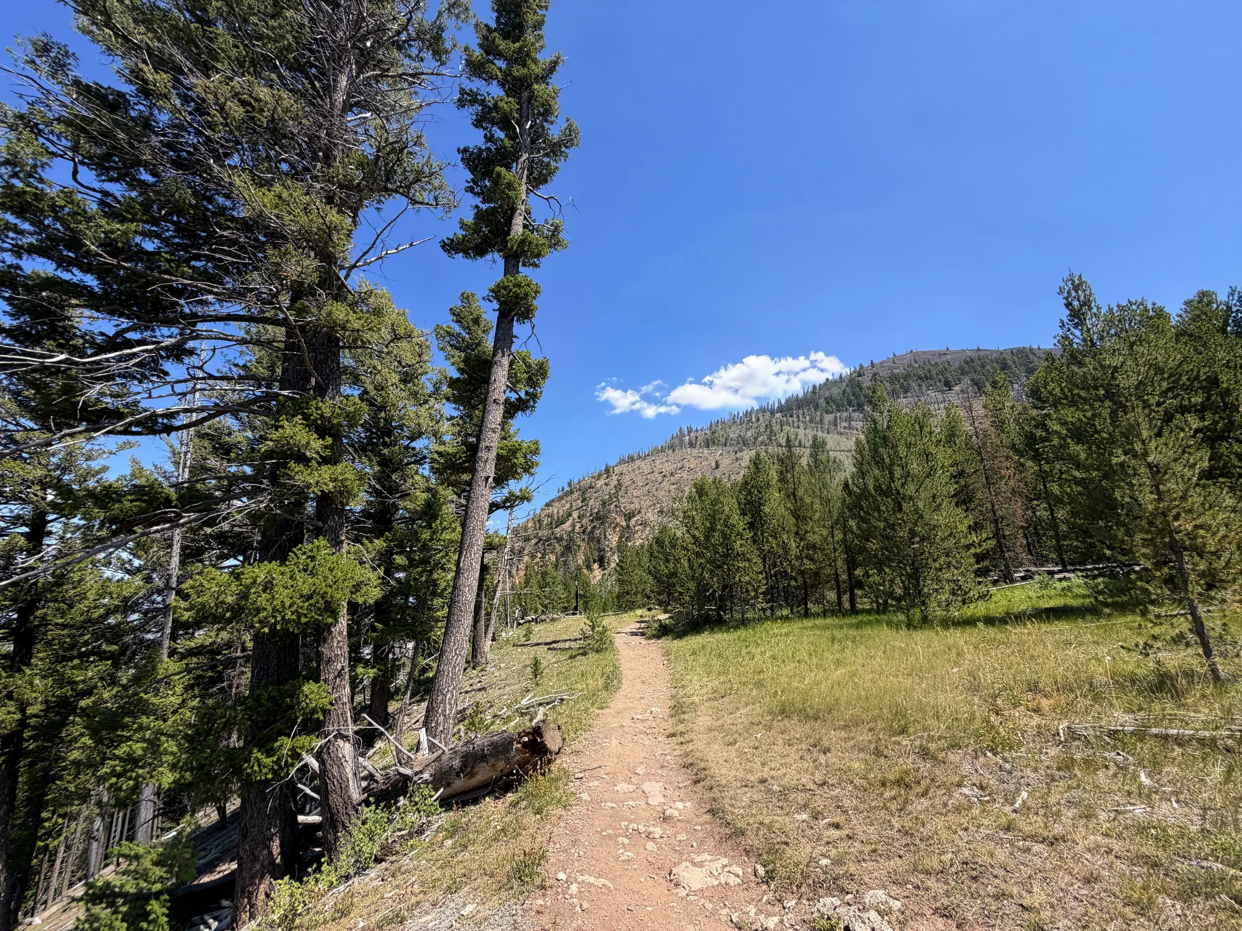 Bunsen Peak Trail Yellowstone National Park Wyoming