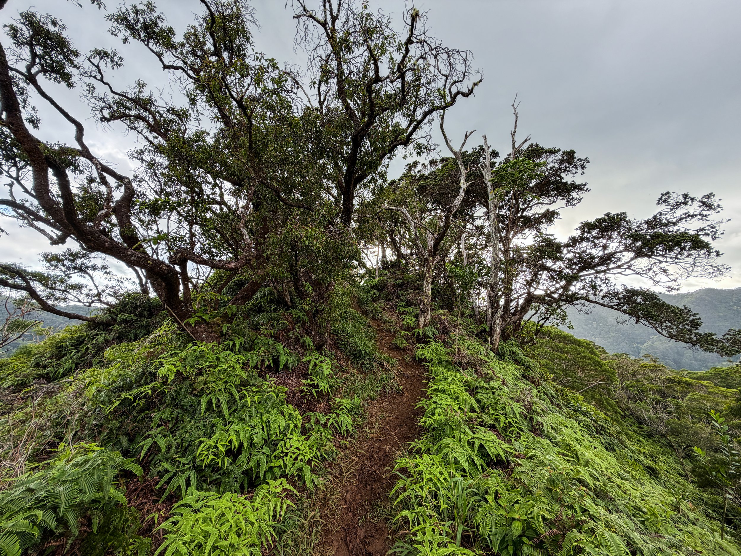 Kaau Crater Hike Oahu Hawaii