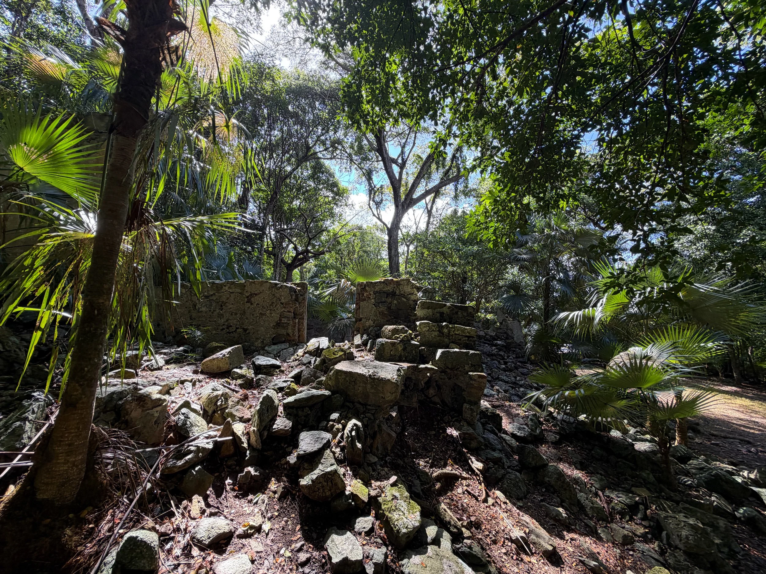 Cinnamon Bay Loop Trail Estate House Virgin Islands National Park