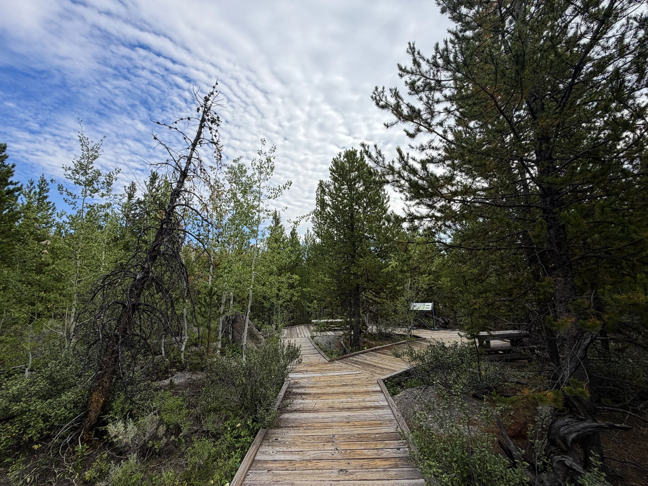 Forces of the Northern Range Trail Yellowstone National Park Wyoming