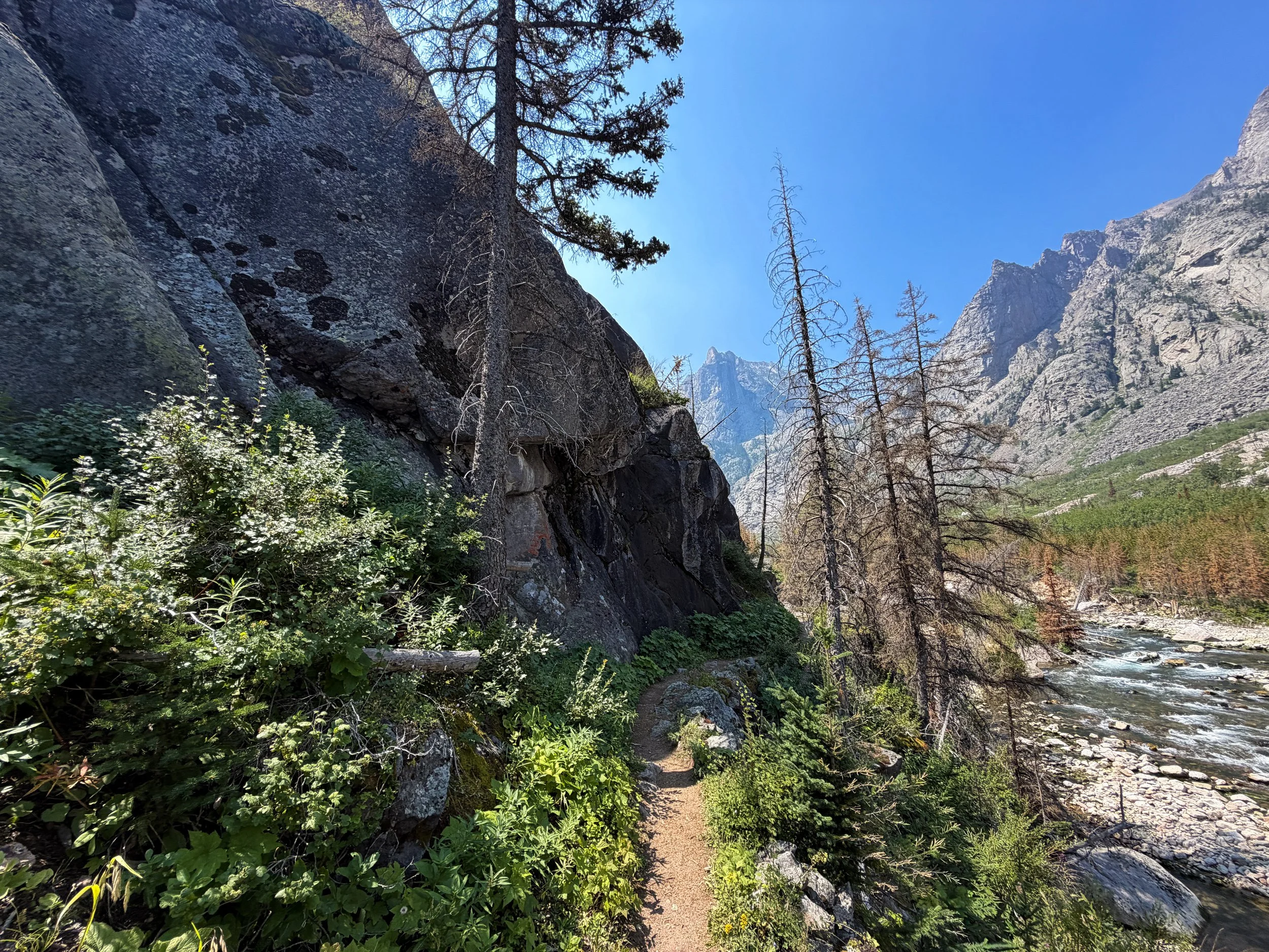 East Rosebud Trail Beaten Path Beartooth Mountains Montana