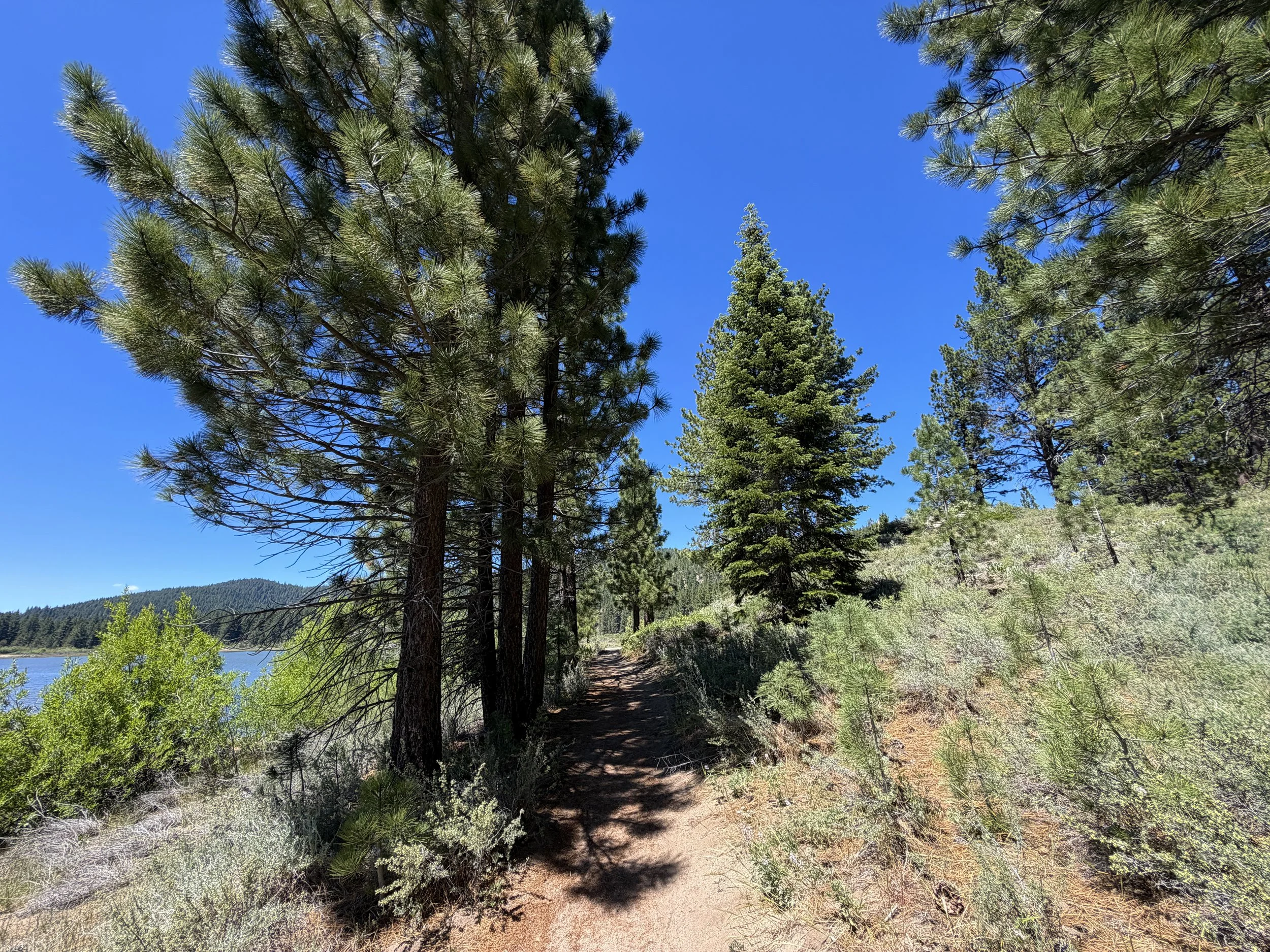 Spooner Lake Trail Lake Tahoe Nevada