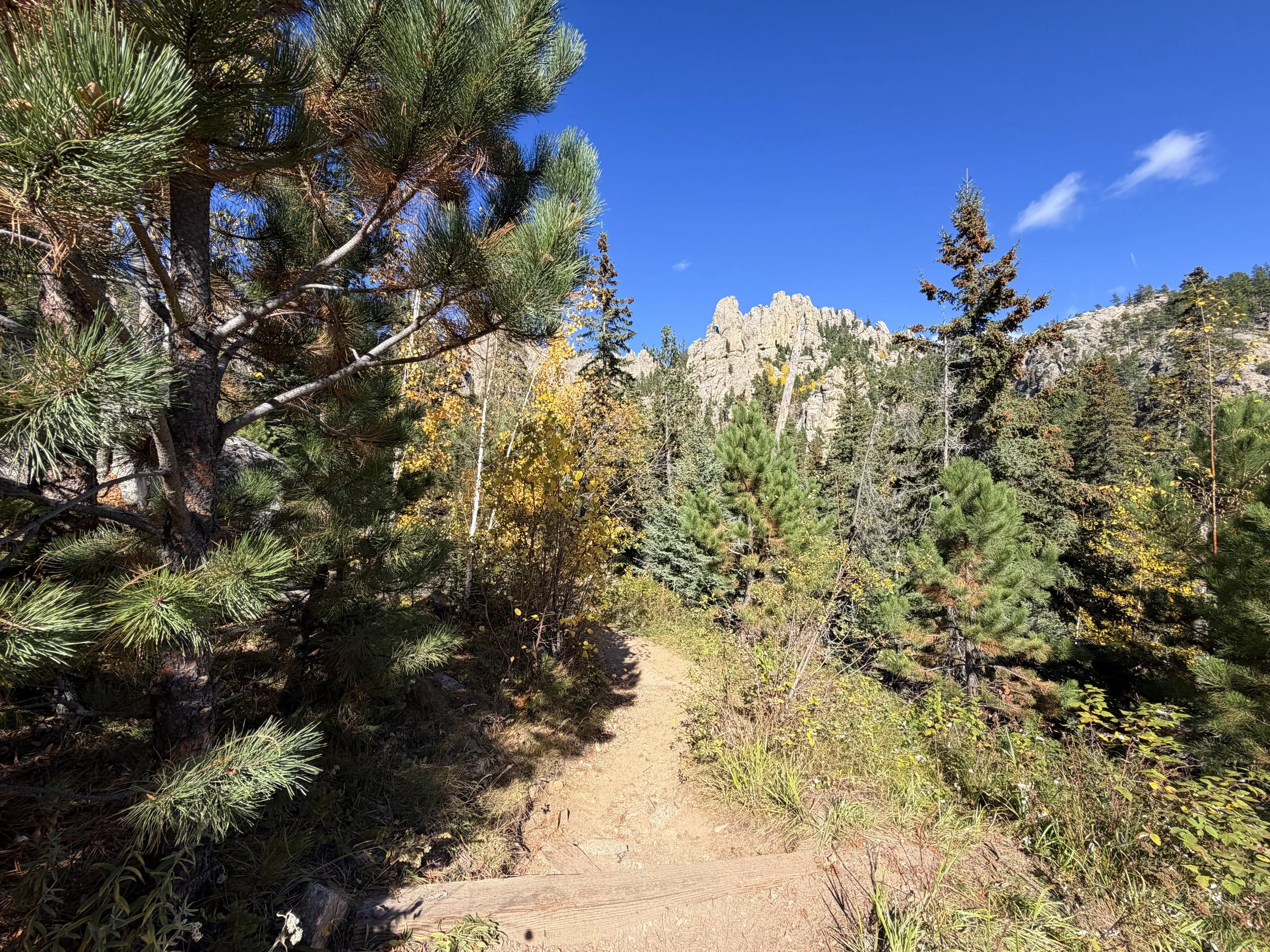 Cathedral Spires Trail Custer State Park Black Hills South Dakota