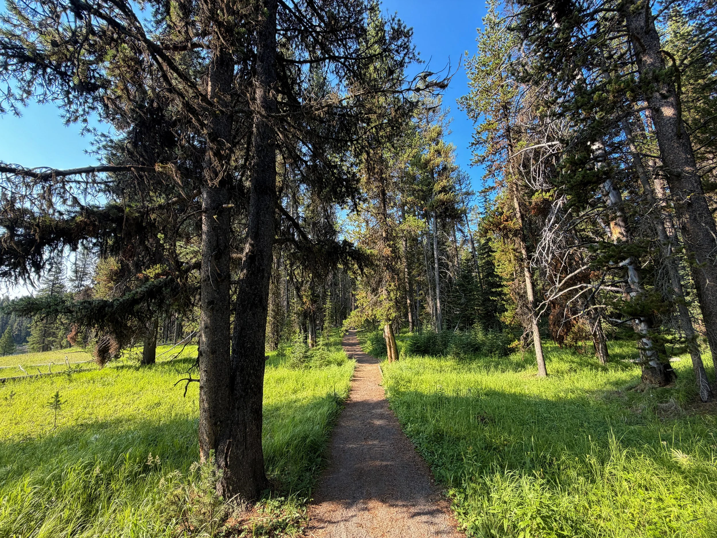 Natural Bridge Trail Yellowstone National Park Wyoming