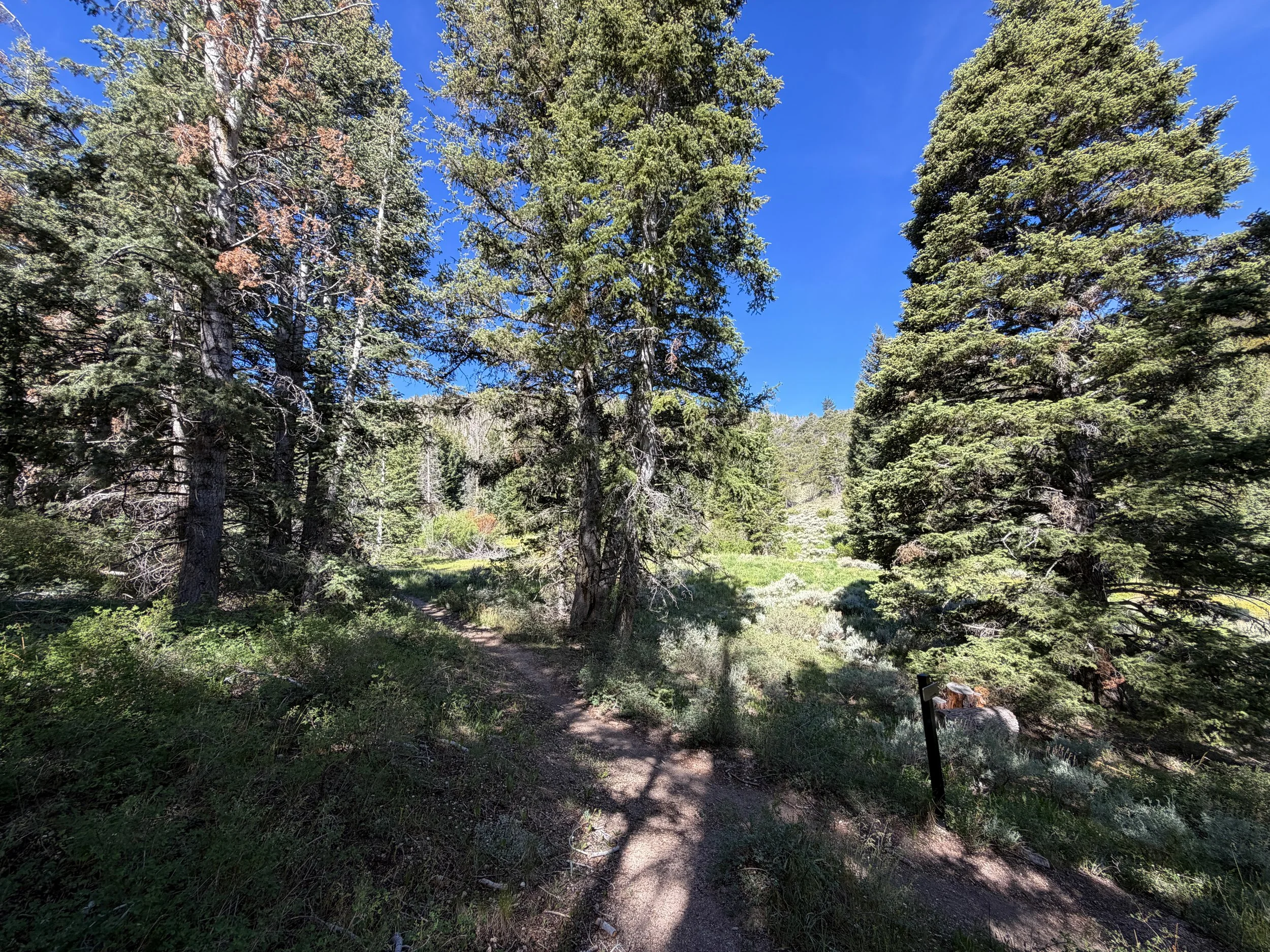 Pole Canyon Loop Hike Great Basin National Park Nevada
