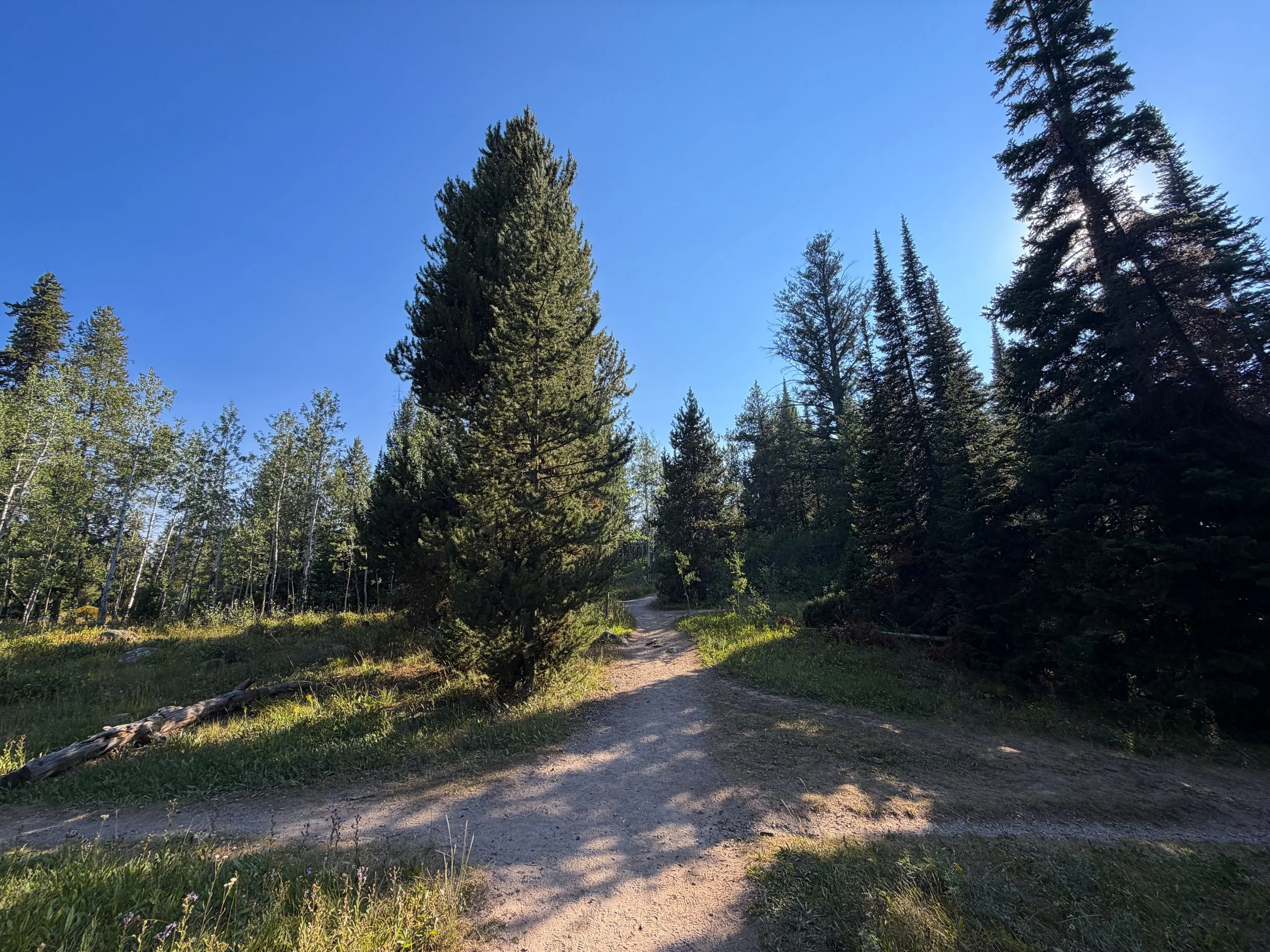 Jenny Lake Loop Trail Grand Teton National Park Wyoming