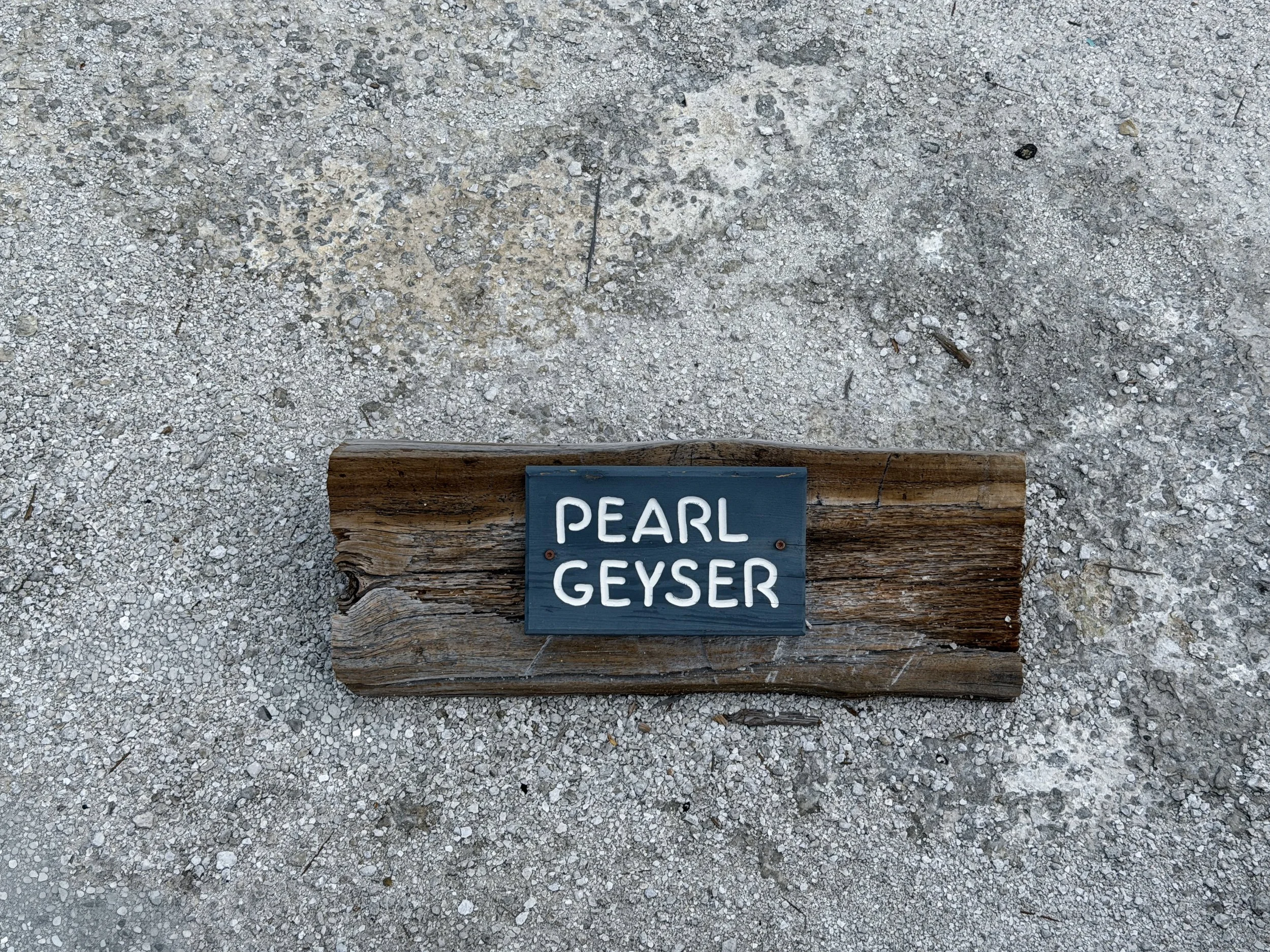Pearl Geyser Norris Geyser Basin Trail Yellowstone National Park Wyoming