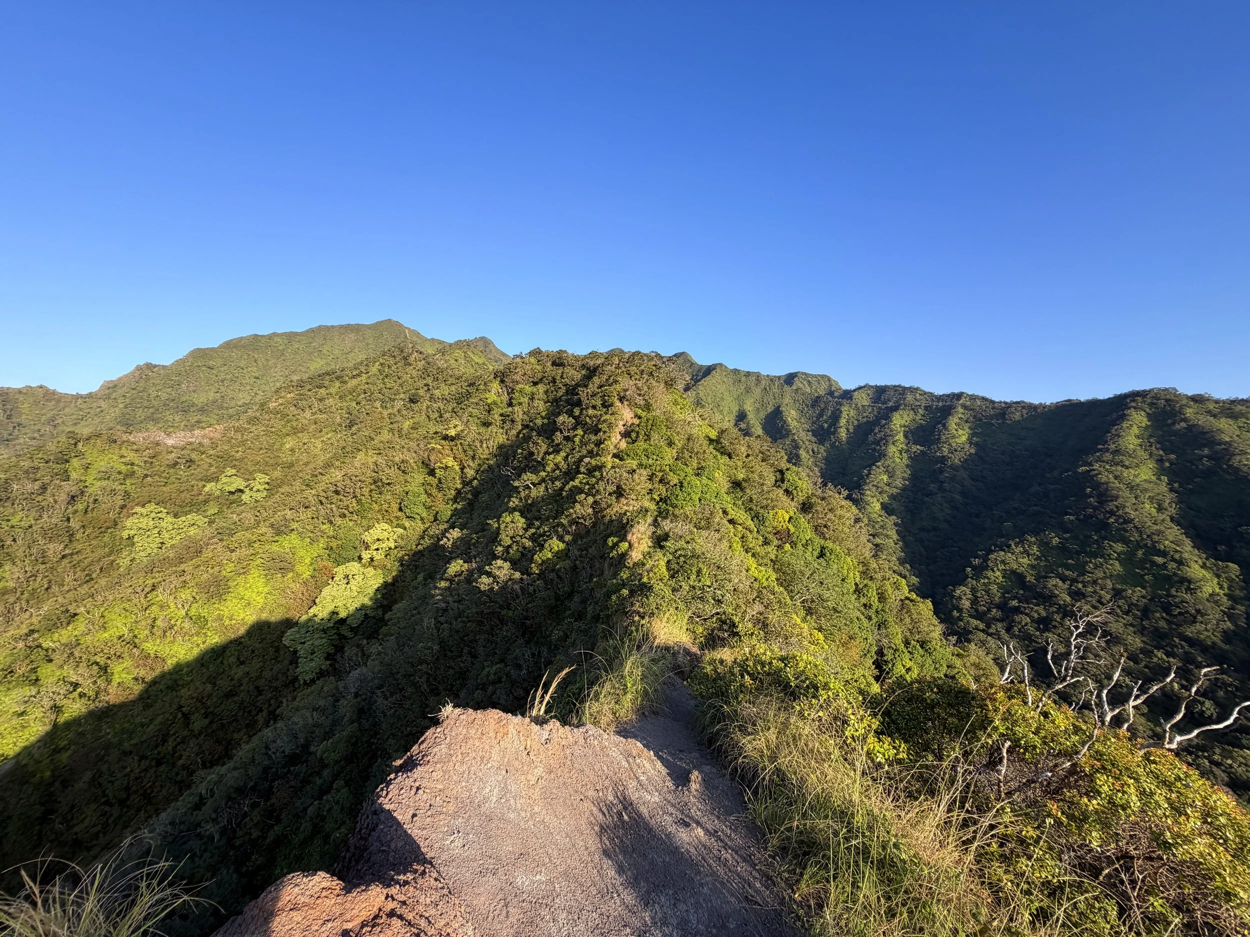 Back Way to Stairway to Heaven Moanalua Middle Ridge Hike Oahu Hawaii