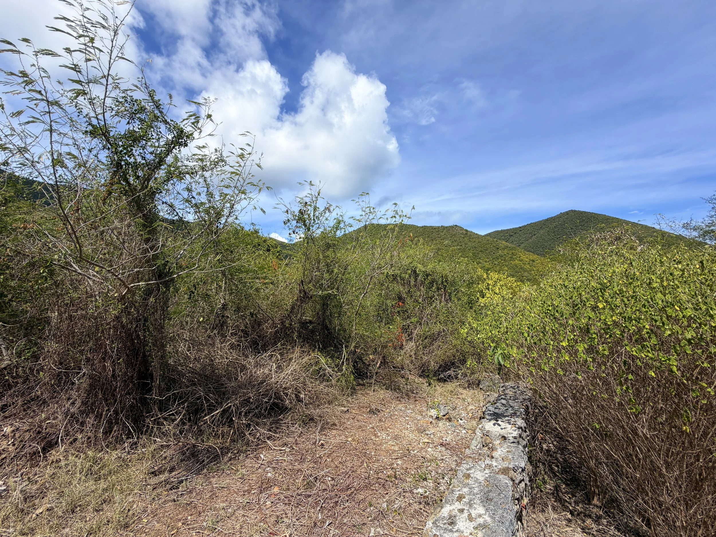 Great Lameshur Estate House Yawzi Point Trail Ruins Virgin Islands National Park
