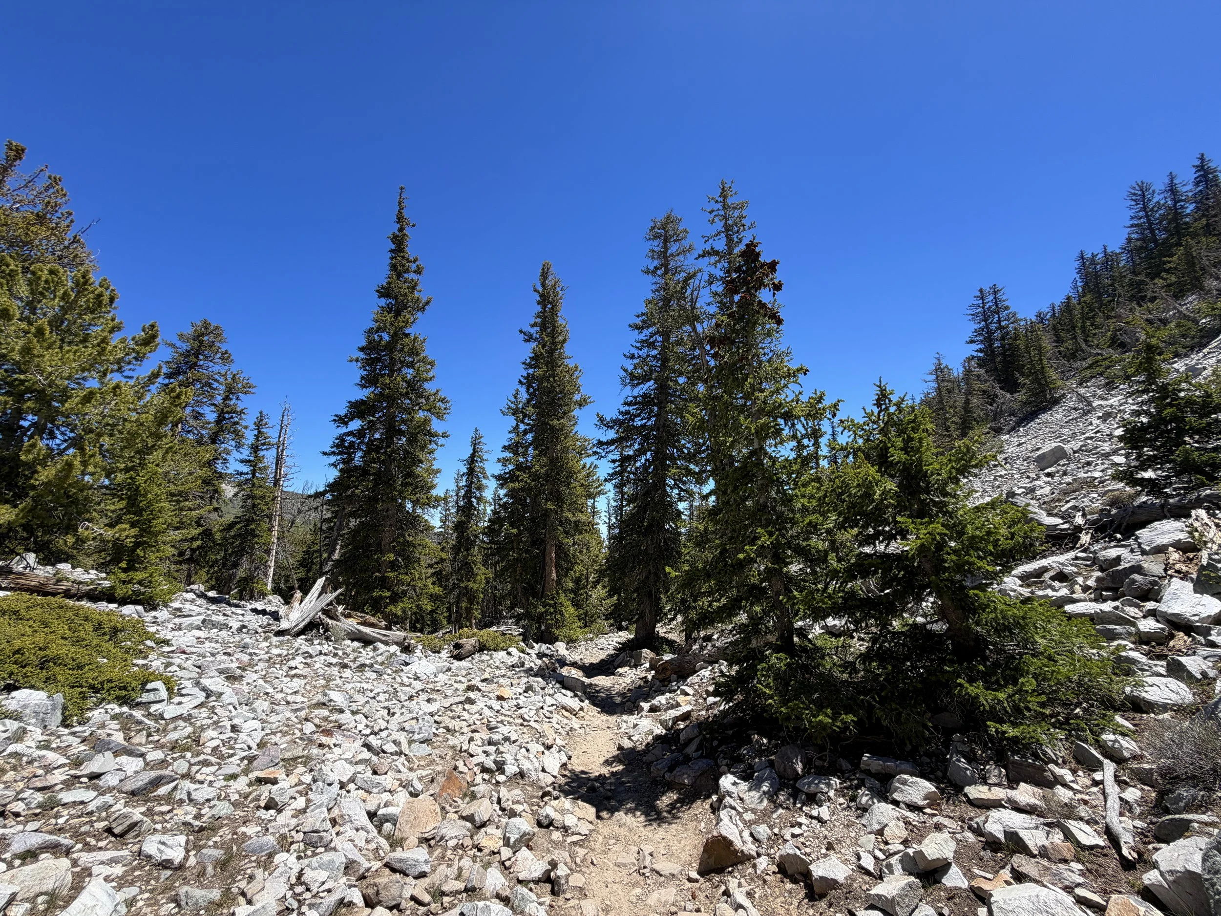 Bristlecone Pine Trail Great Basin National Park Nevada