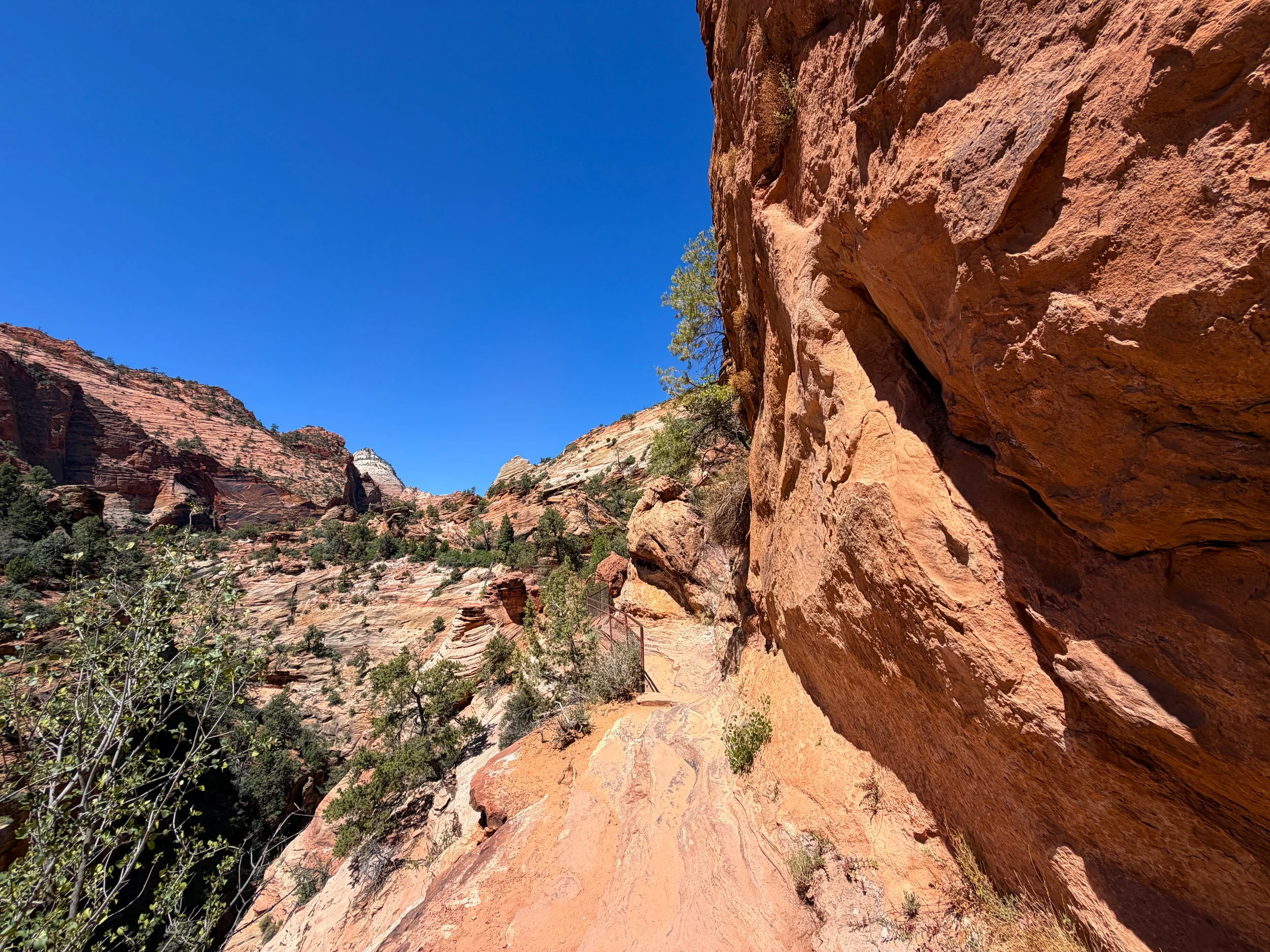 Canyon Overlook Trail Zion National Park Utah