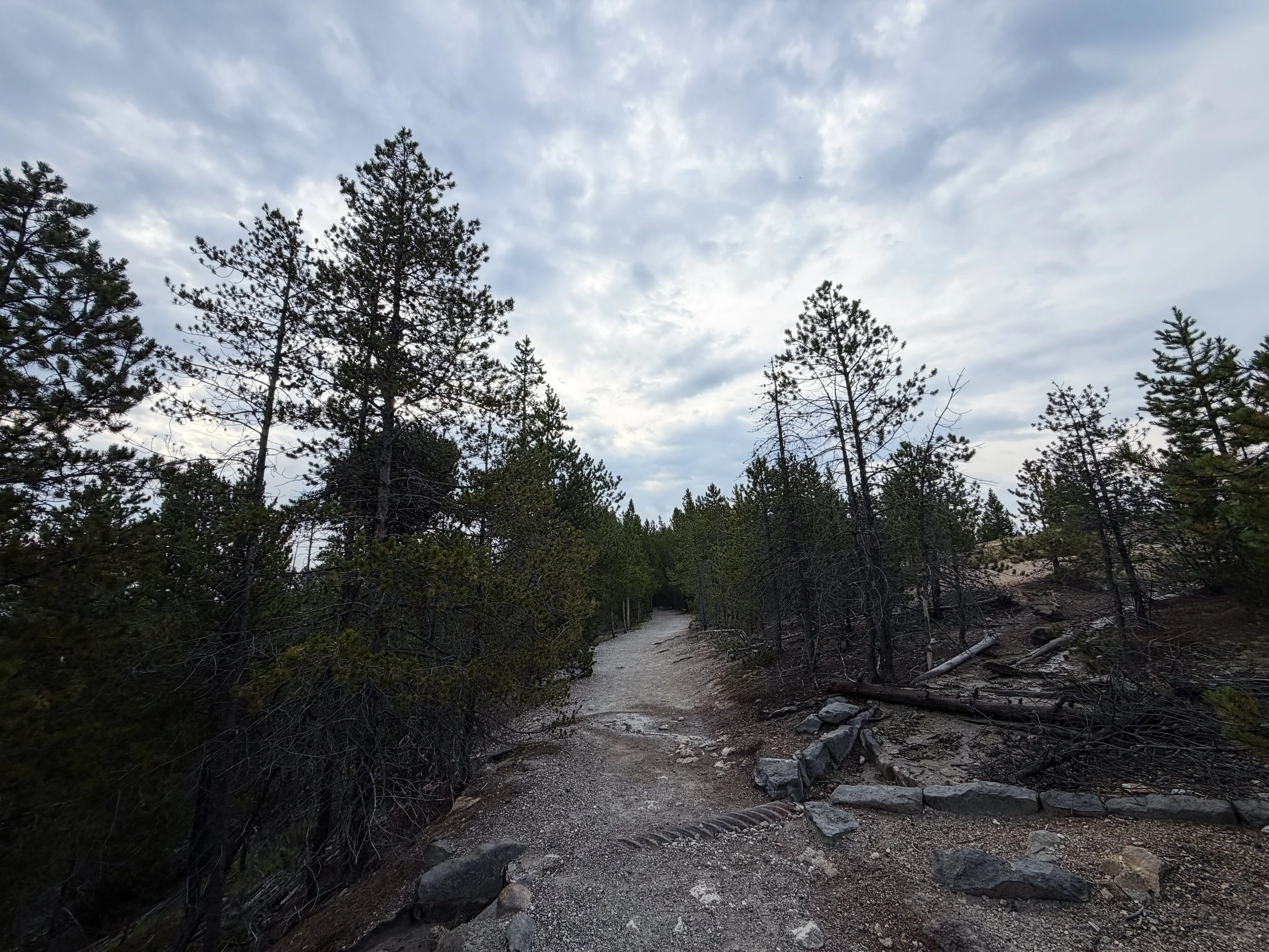 Norris Geyser Basin Trail Yellowstone National Park Wyoming