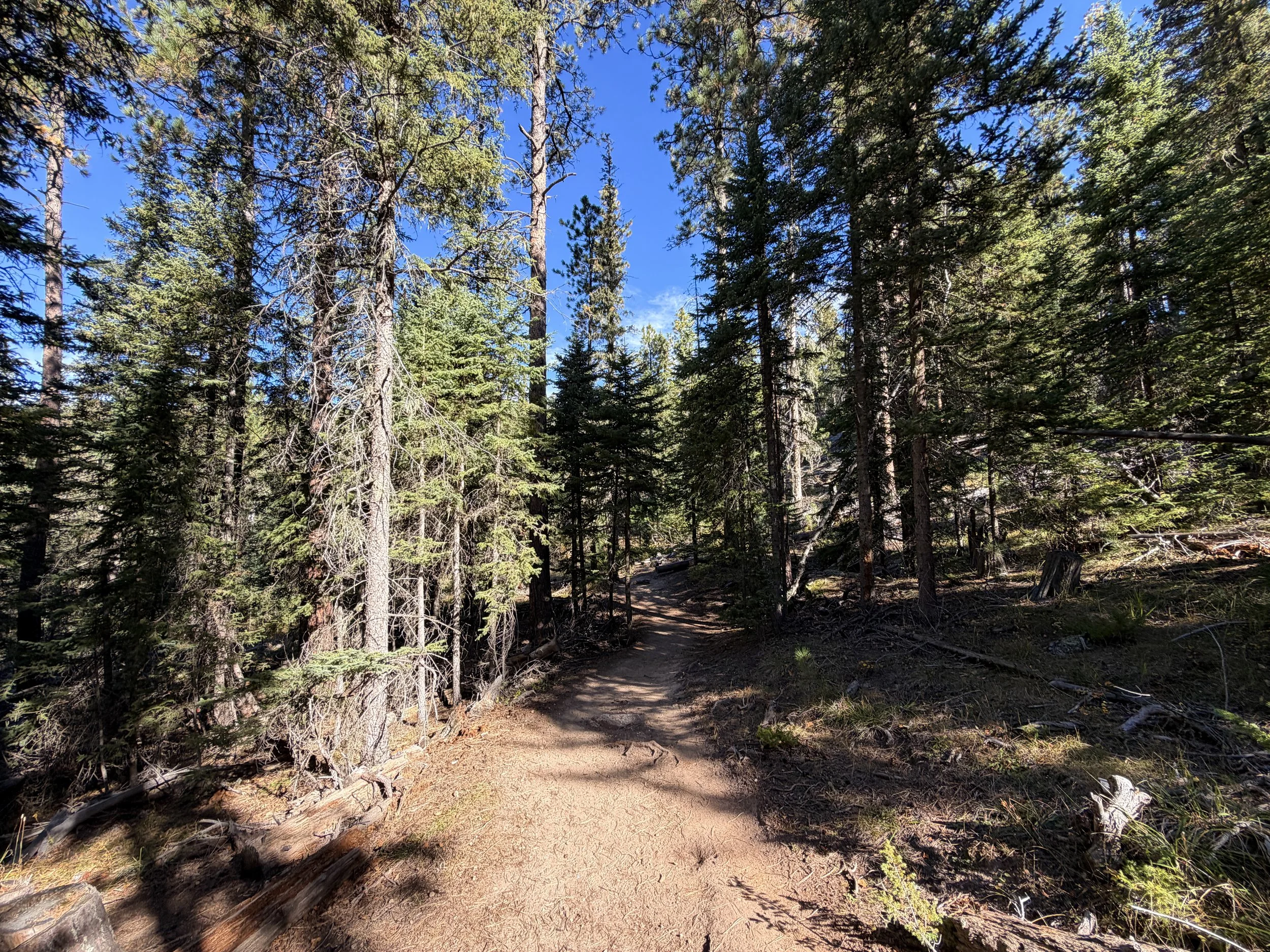 Sunday Gulch Hike Custer State Park Black Hills South Dakota